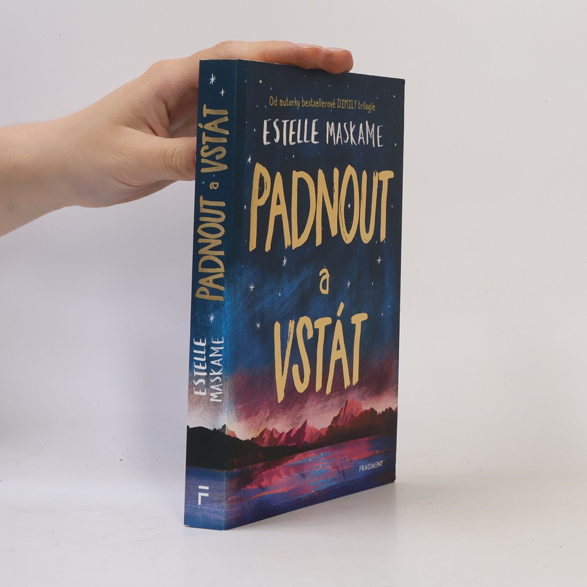 Estelle Maskame Padnout a vstát