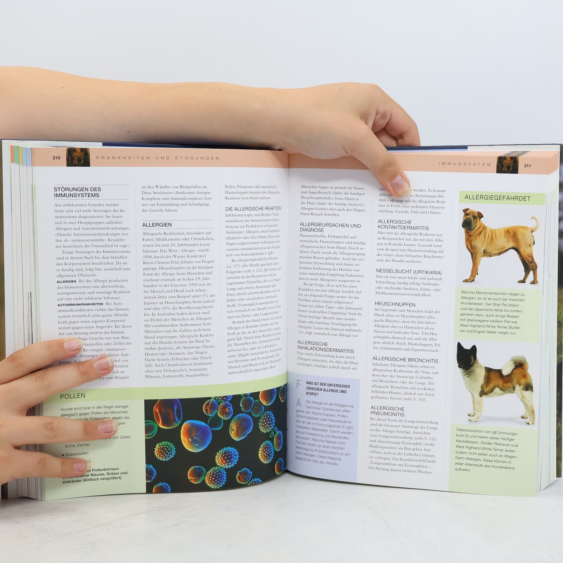Bruce Fogle Das große Praxisbuch Hunde