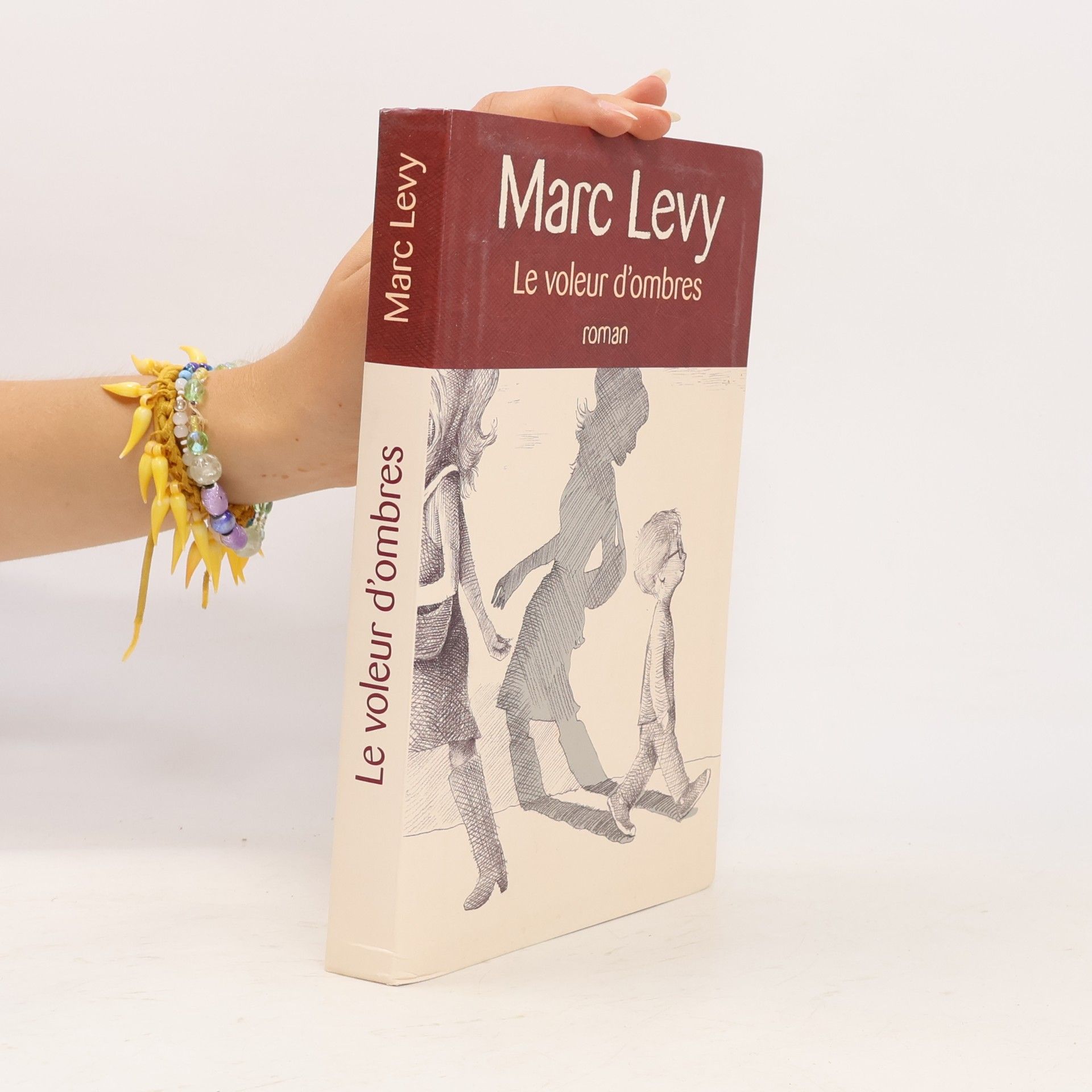 Marc Levy Le voleur d'ombres