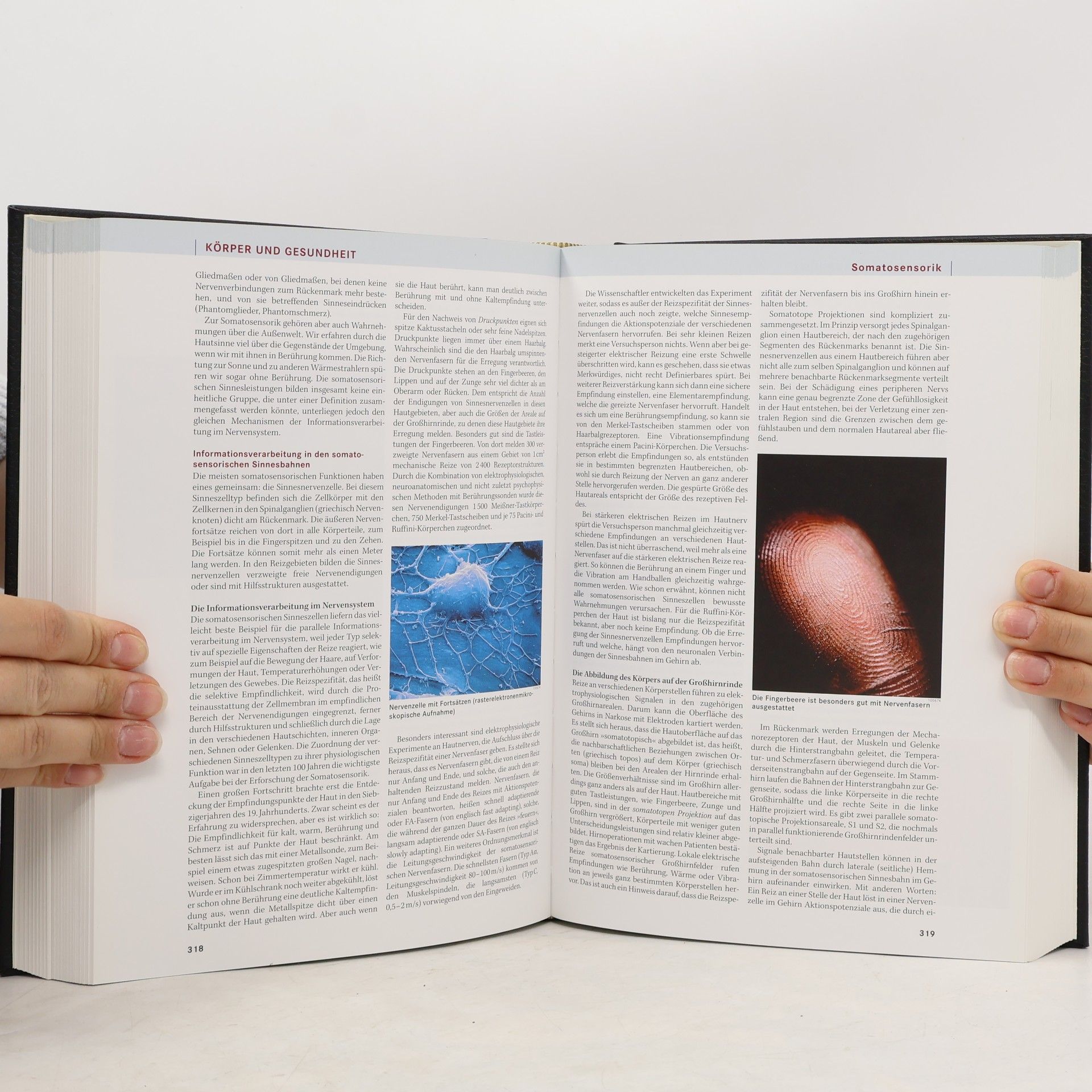 Autorenkollektiv Brockhaus Wissenswelten
