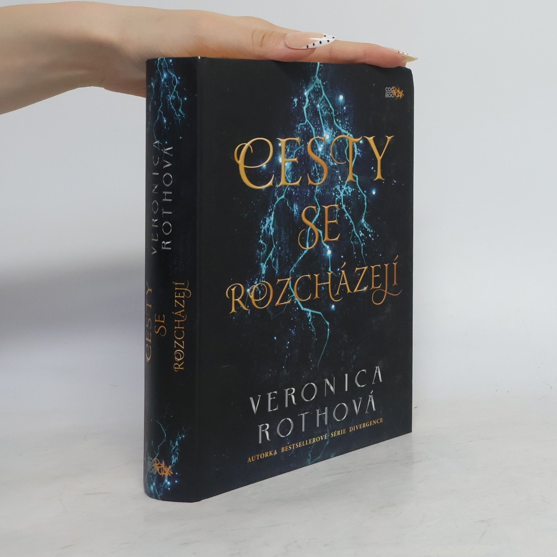 Veronica Roth Cesty se rozcházejí