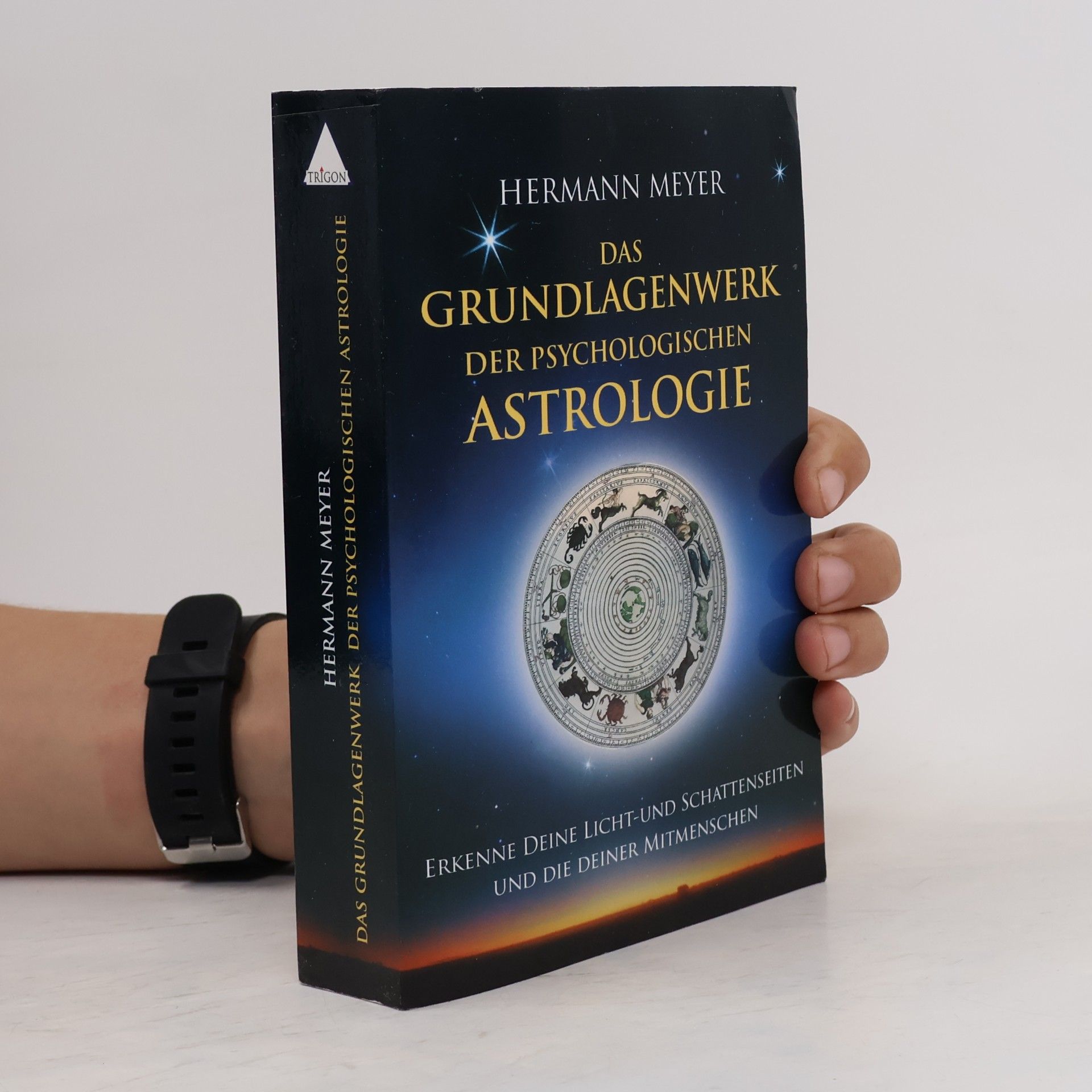 Herman Meyer Das Grundlagenwerk der psychologischen Astrologie