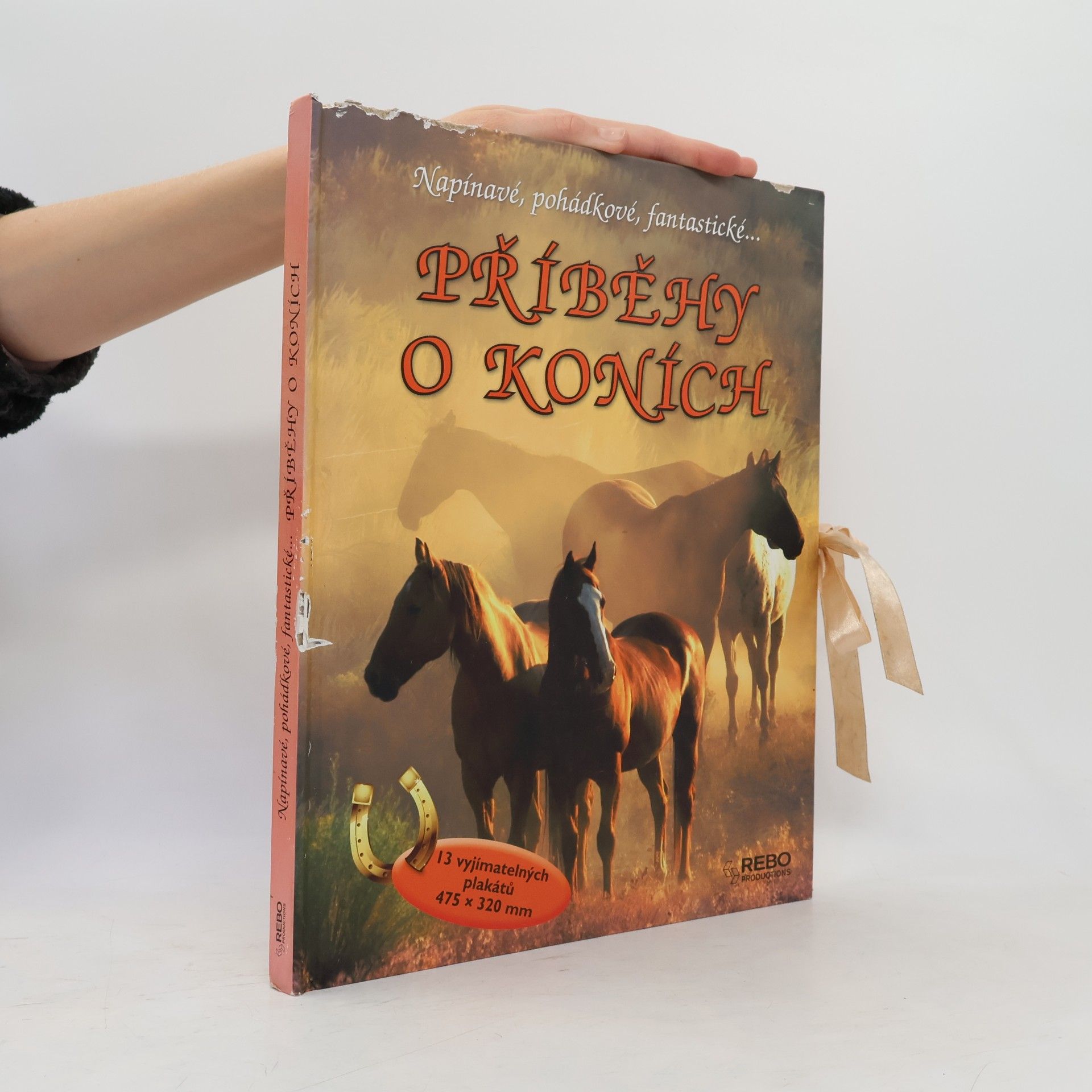 Christelle Huet-Gomez Příběhy o koních