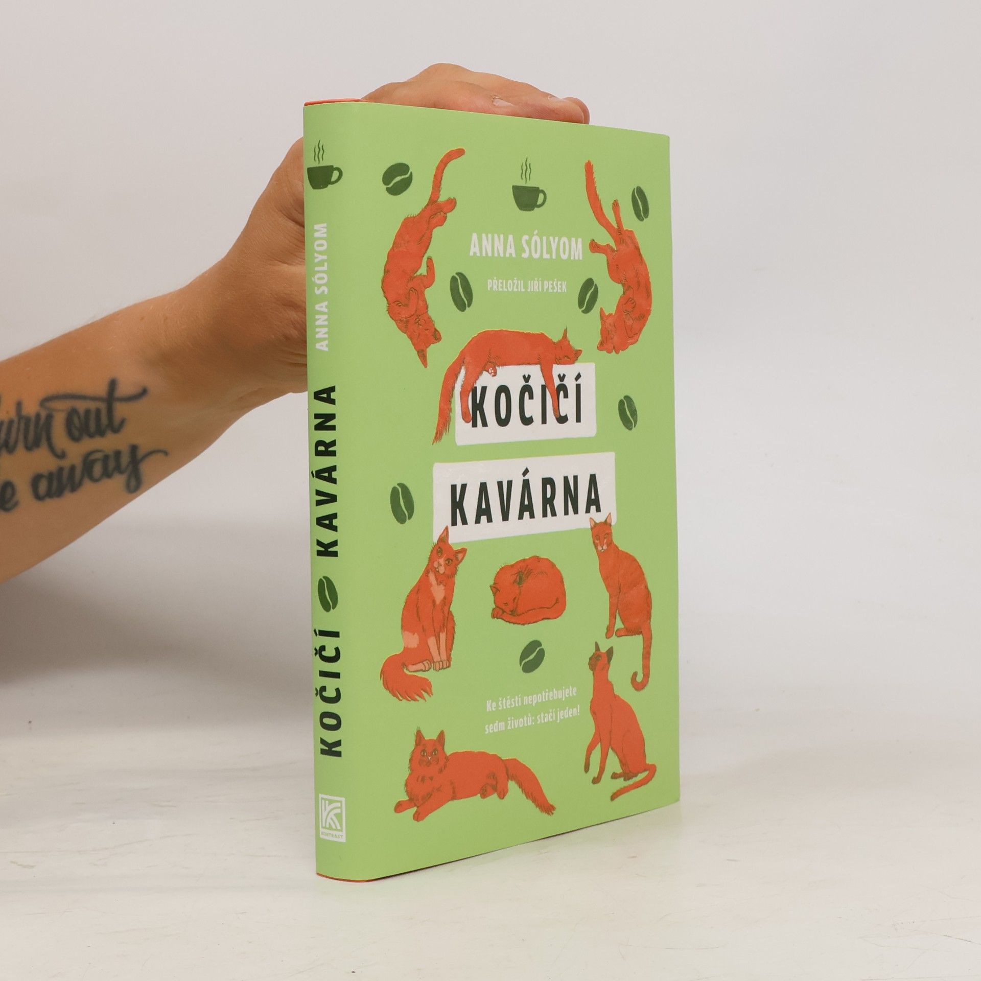 Anna Sólyom Kočičí kavárna