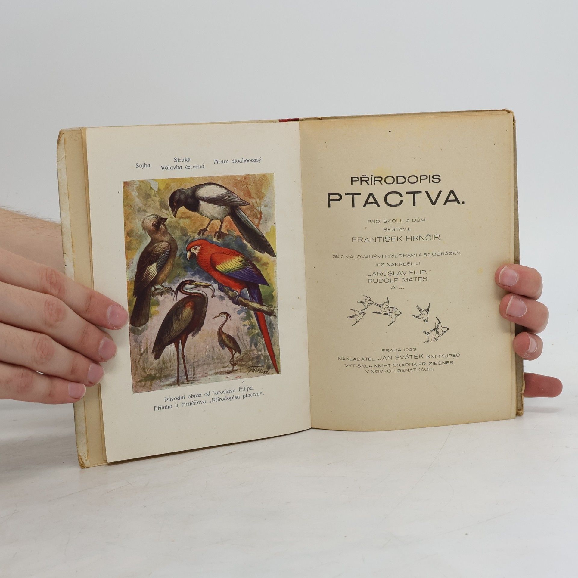 František Hrnčíř Přírodopis ptactva