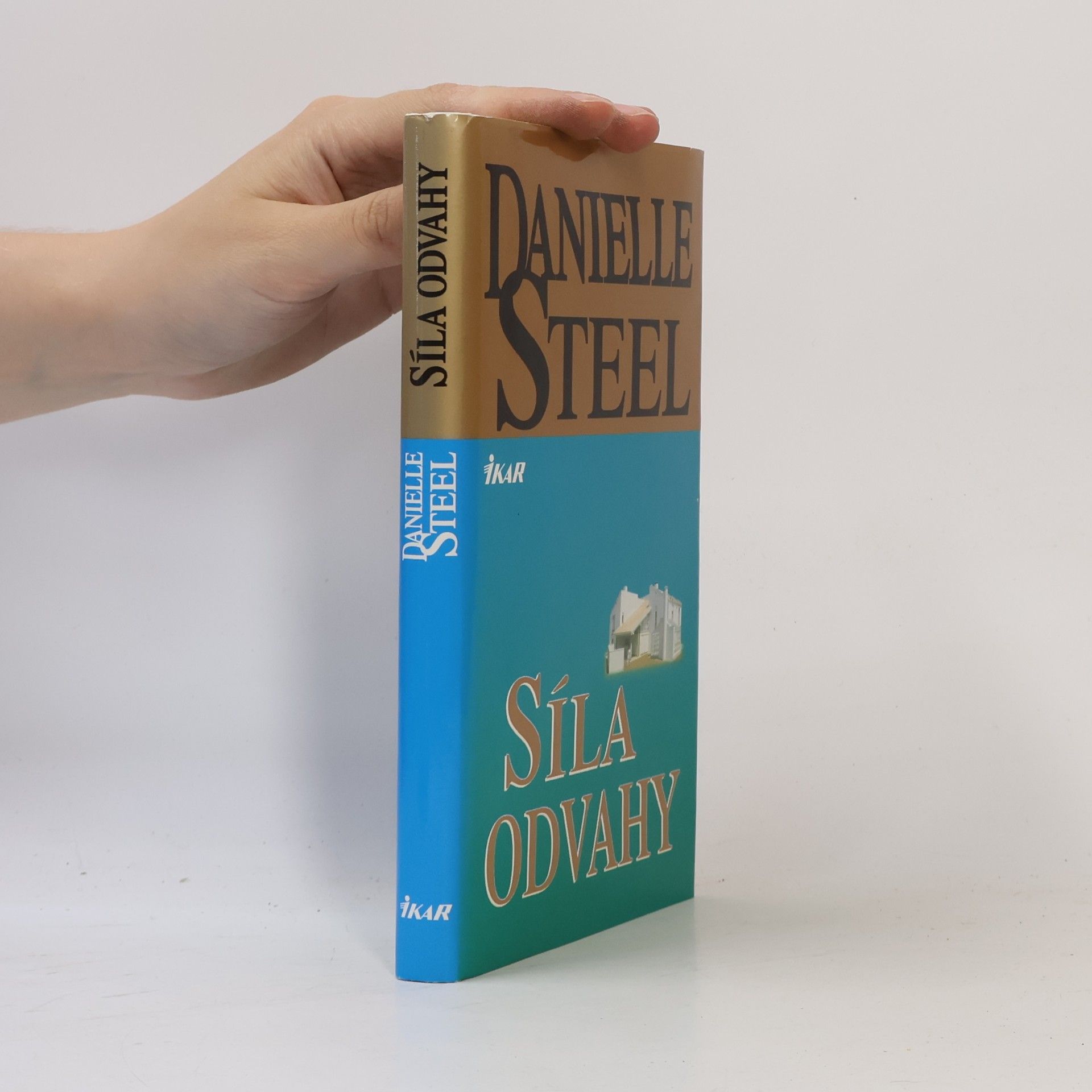 Danielle Steel Síla odvahy