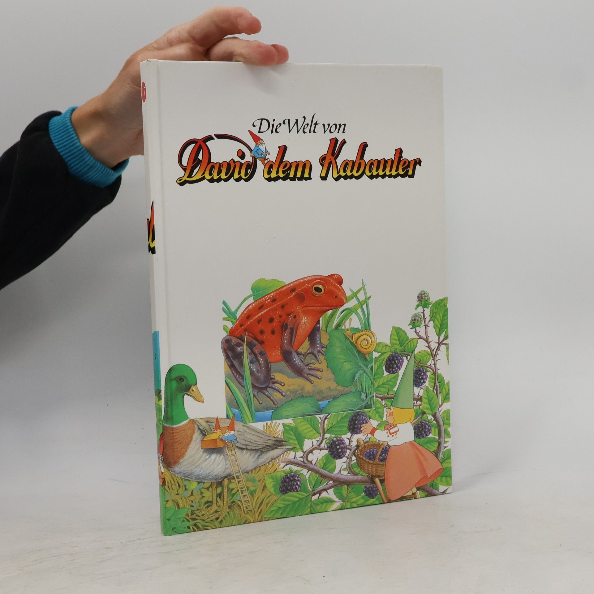 Autorenkollektiv Die Welt von David's dem Kabauter 17