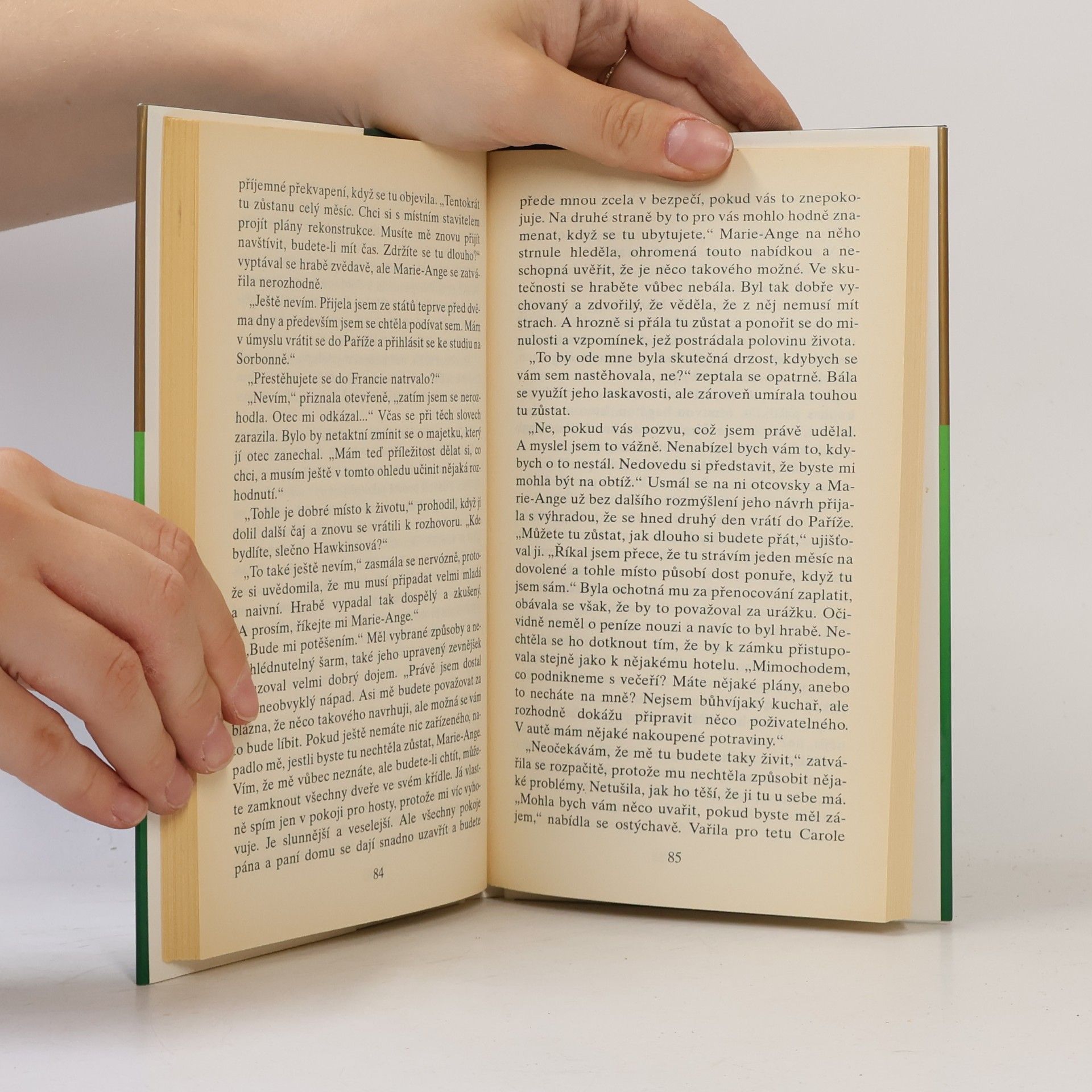 Danielle Steel Odvážné rozhodnutí