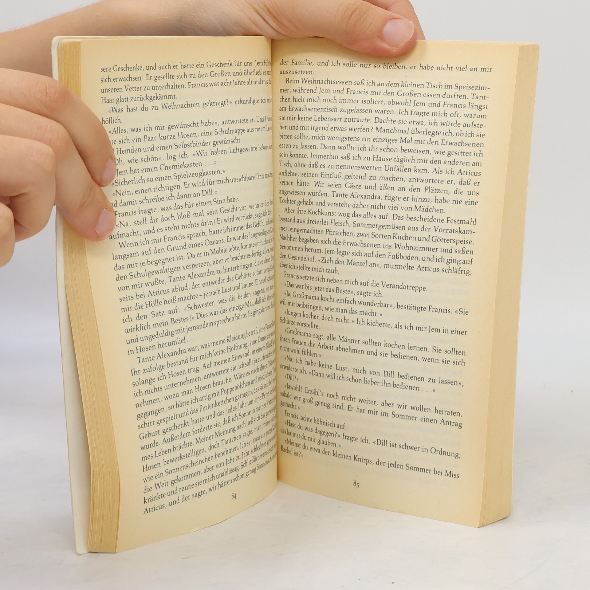 Harper Lee Wer die Nachtigall stört...