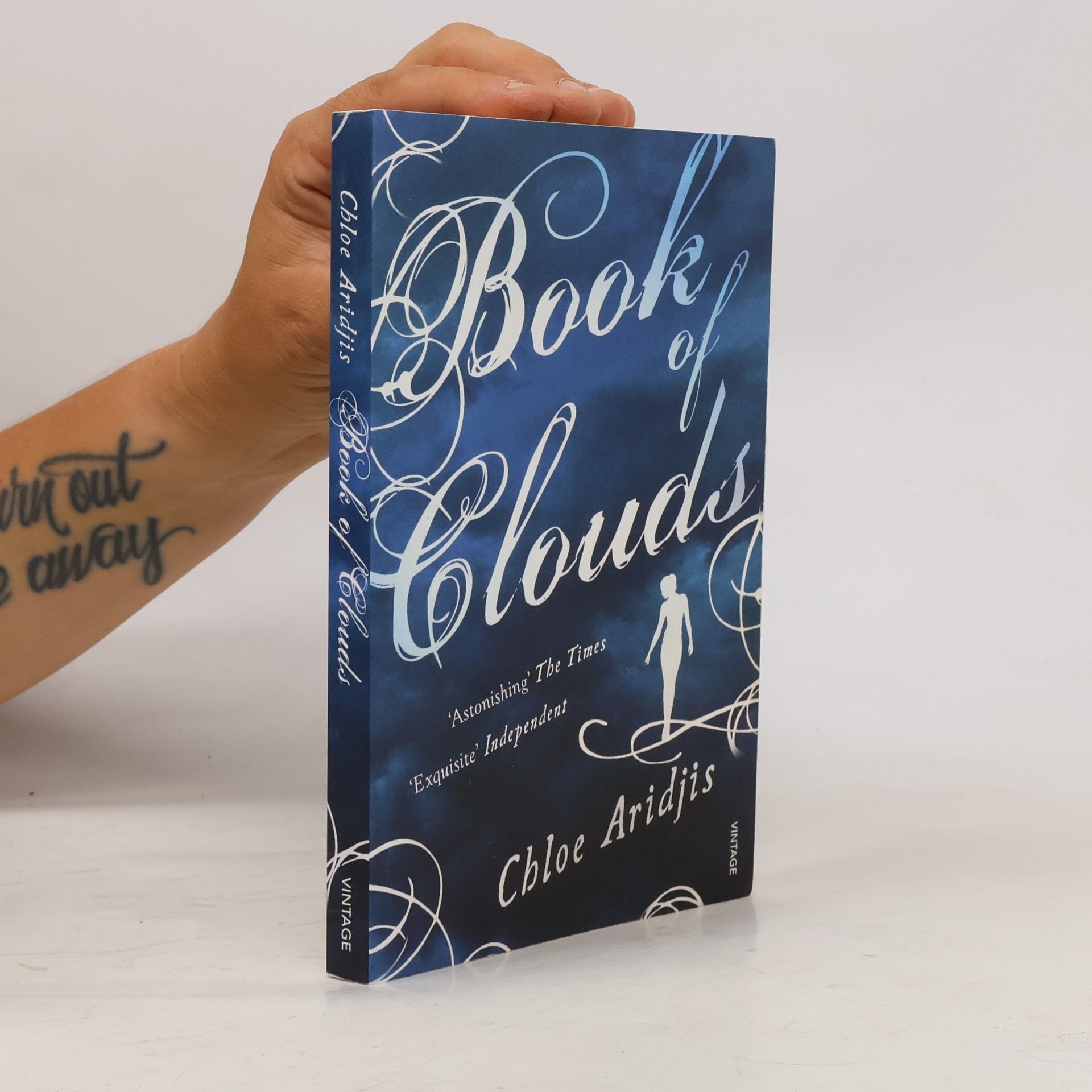 Chloe Aridjis Book of Clouds