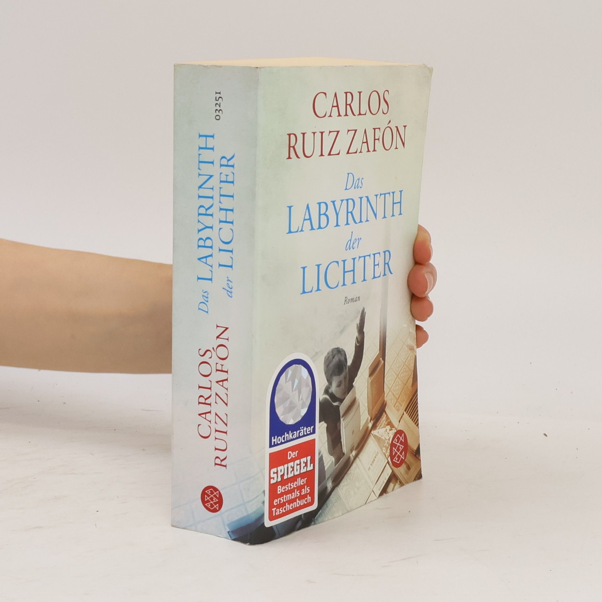 Carlos Ruiz Zafón Das Labyrinth der Lichter