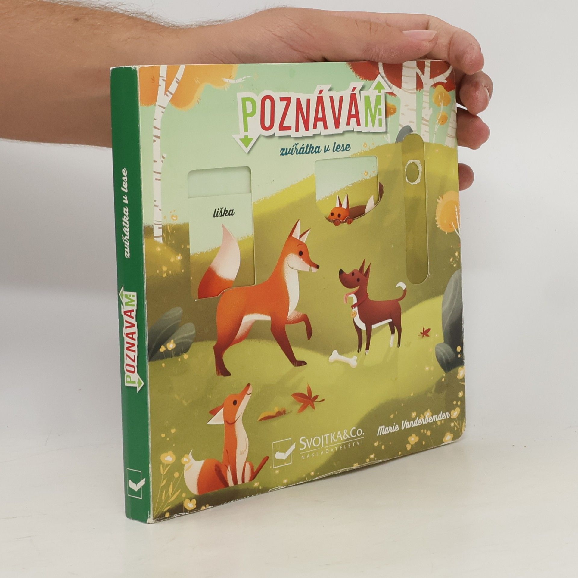 Poznávám zvířátka v lese