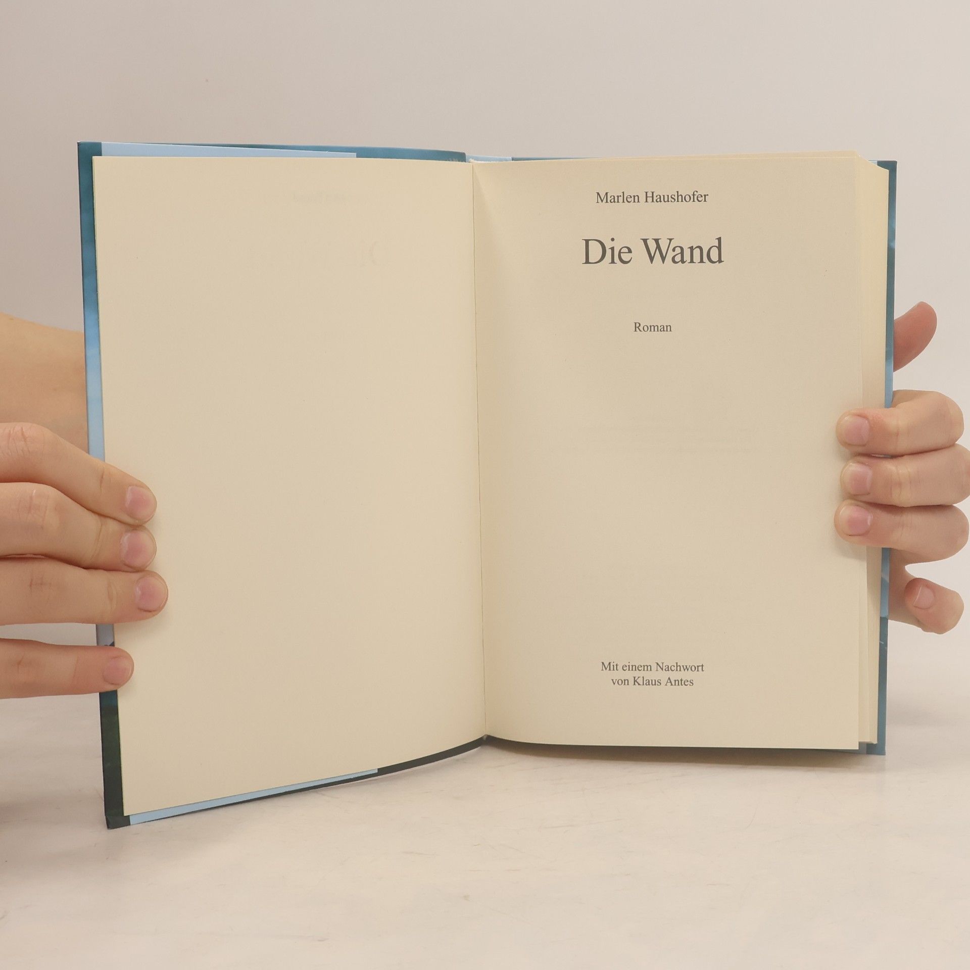 Marlen Haushofer Die Wand