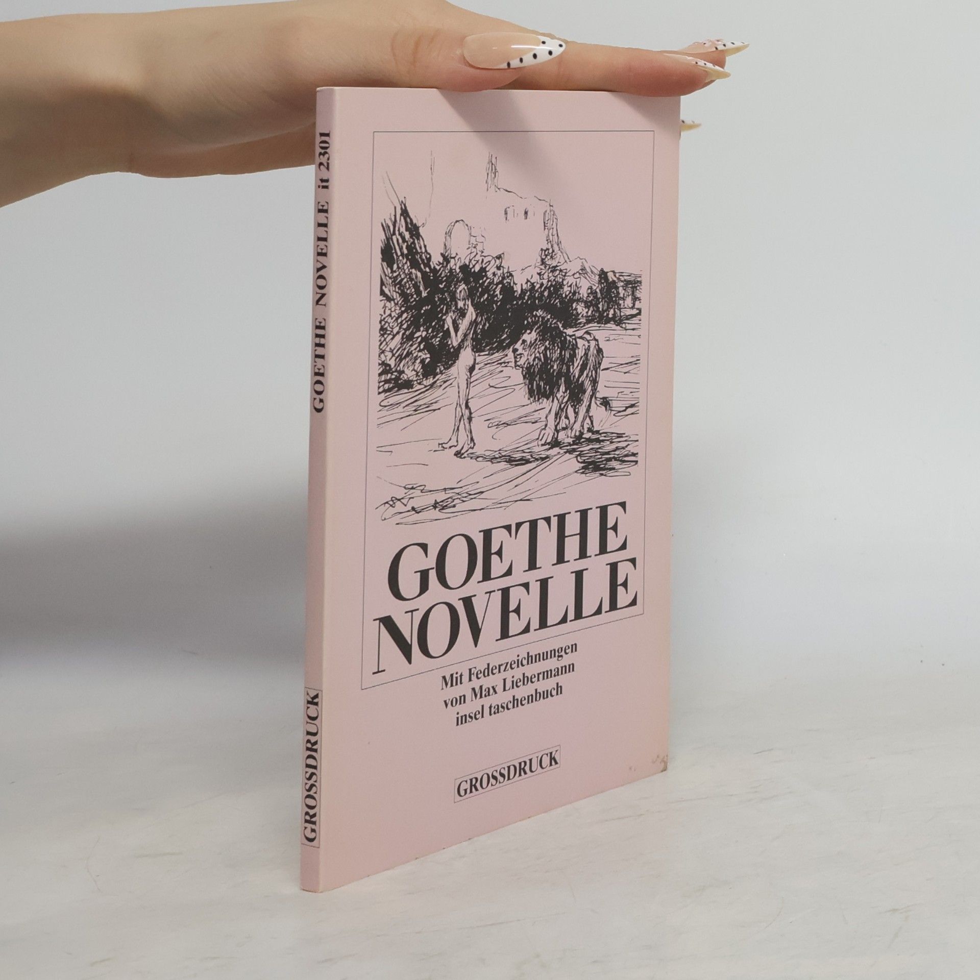 Johann Wolfgang von Goethe Novelle