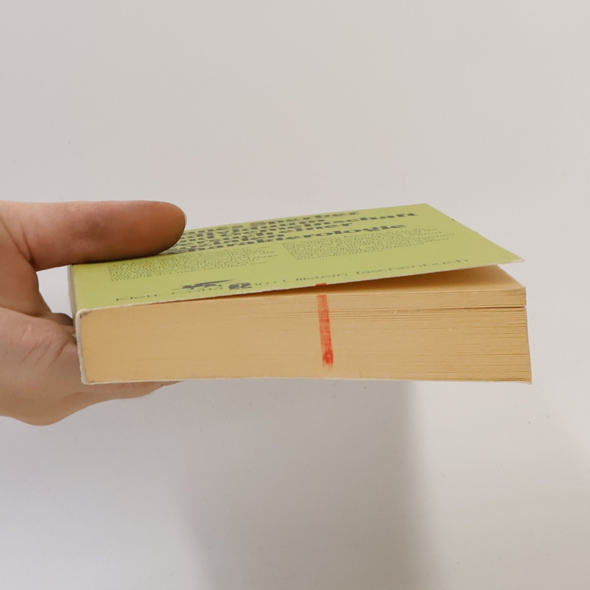 Manès Sperber Individuum und Gemeinschaft