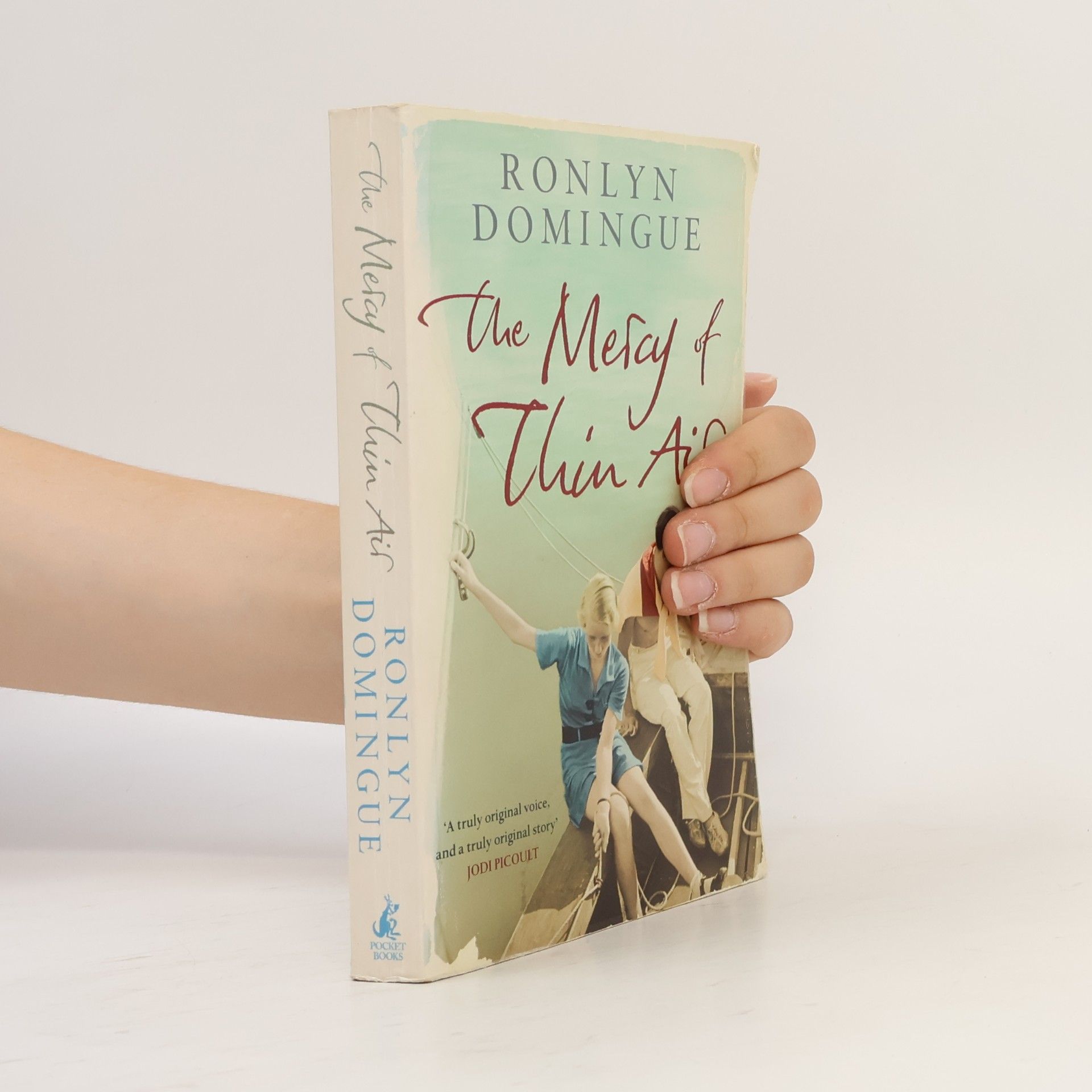 Ronlyn Domingue The Mercy of Thin Air