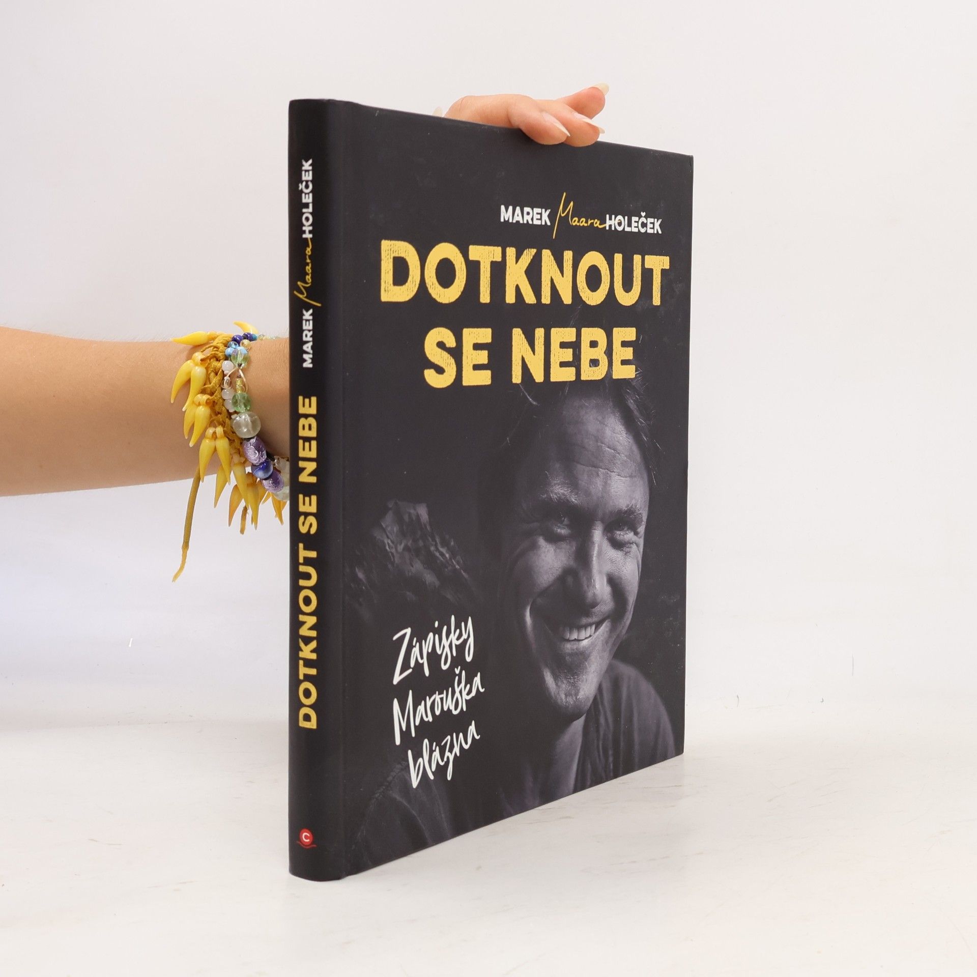 Marek Holeček Dotknout se nebe : zápisky Marouška blázna