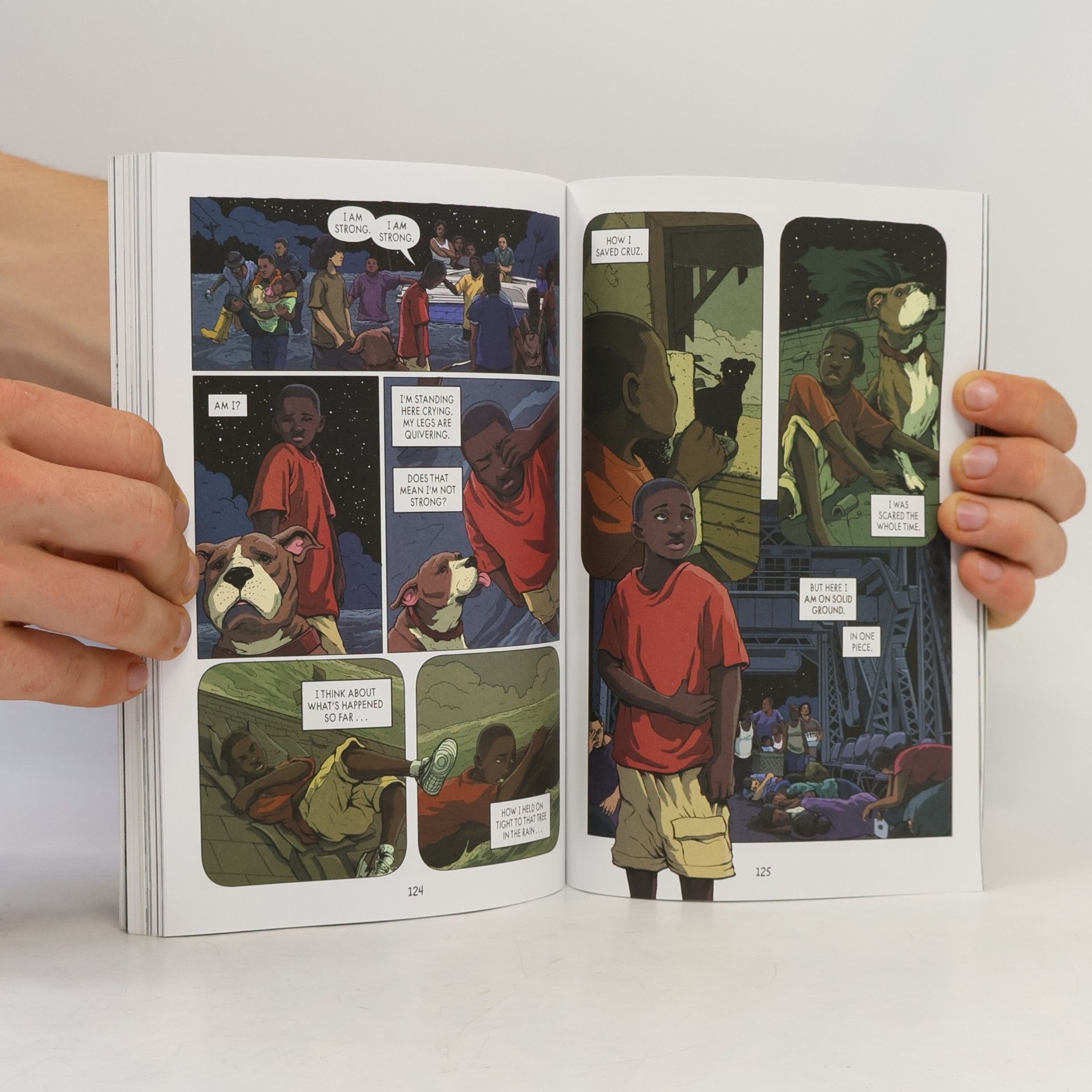 Lauren Tarshis I Survived Graphic Novel - 6: I Survived Hurricane Katrina, 2005