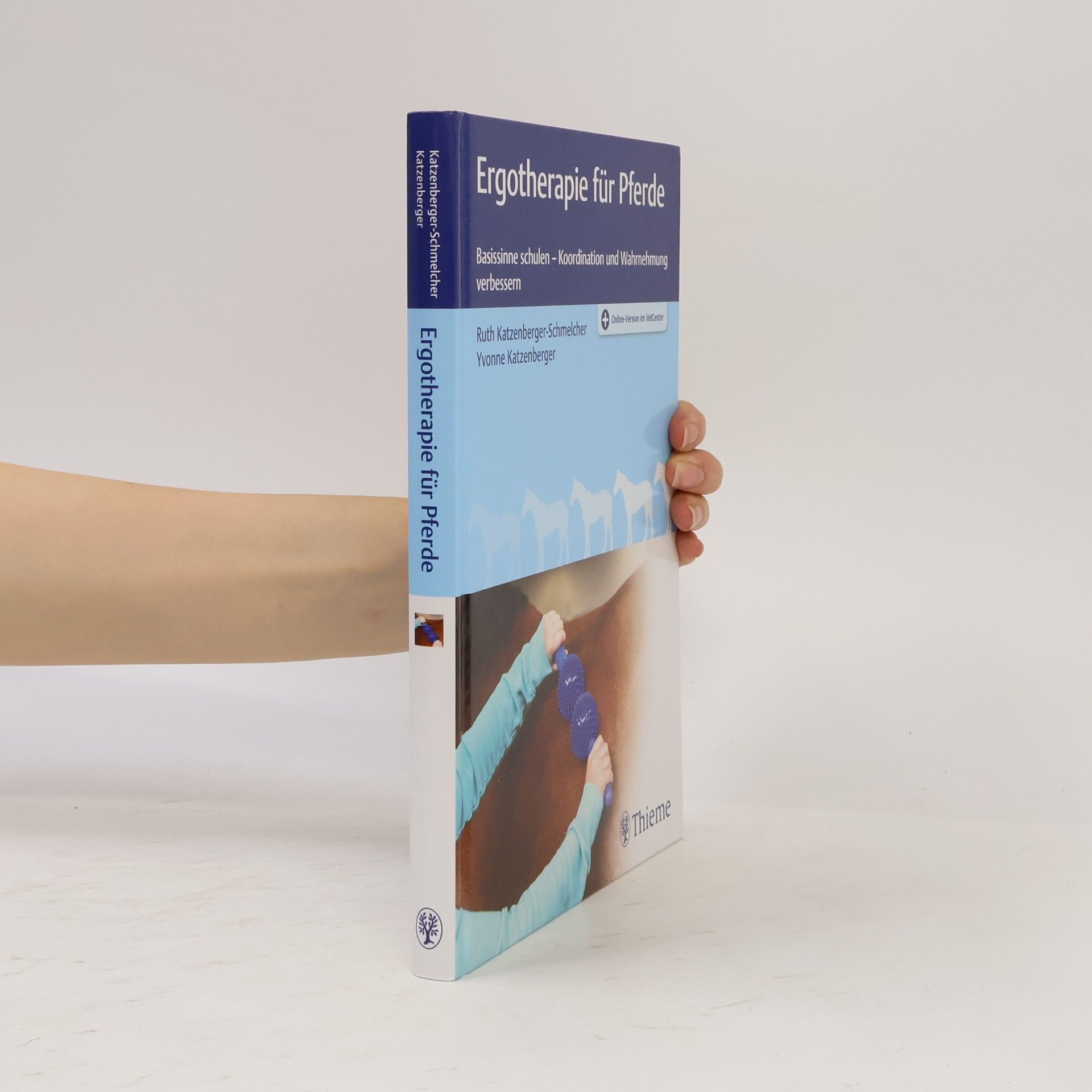 Yvonne Katzenberger Ergotherapie für Pferde