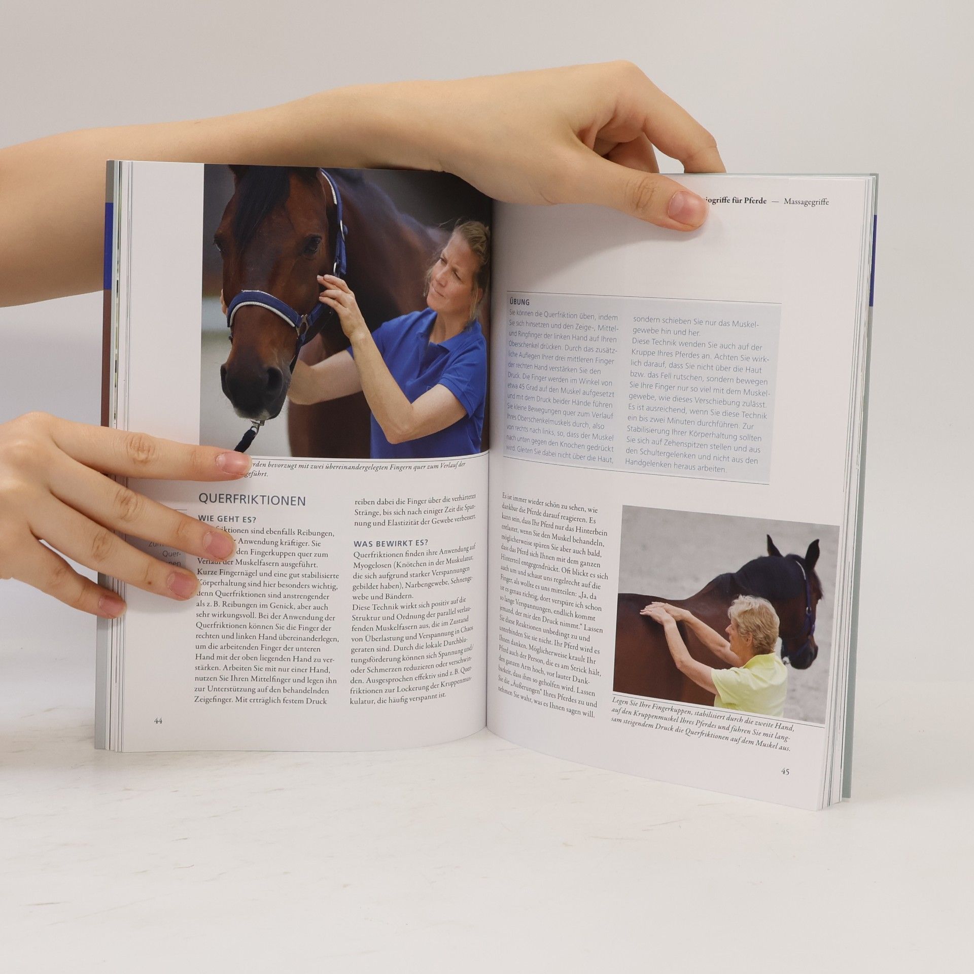 Beatrix Schulte Wien Praxisbuch Physiogriffe für Pferde