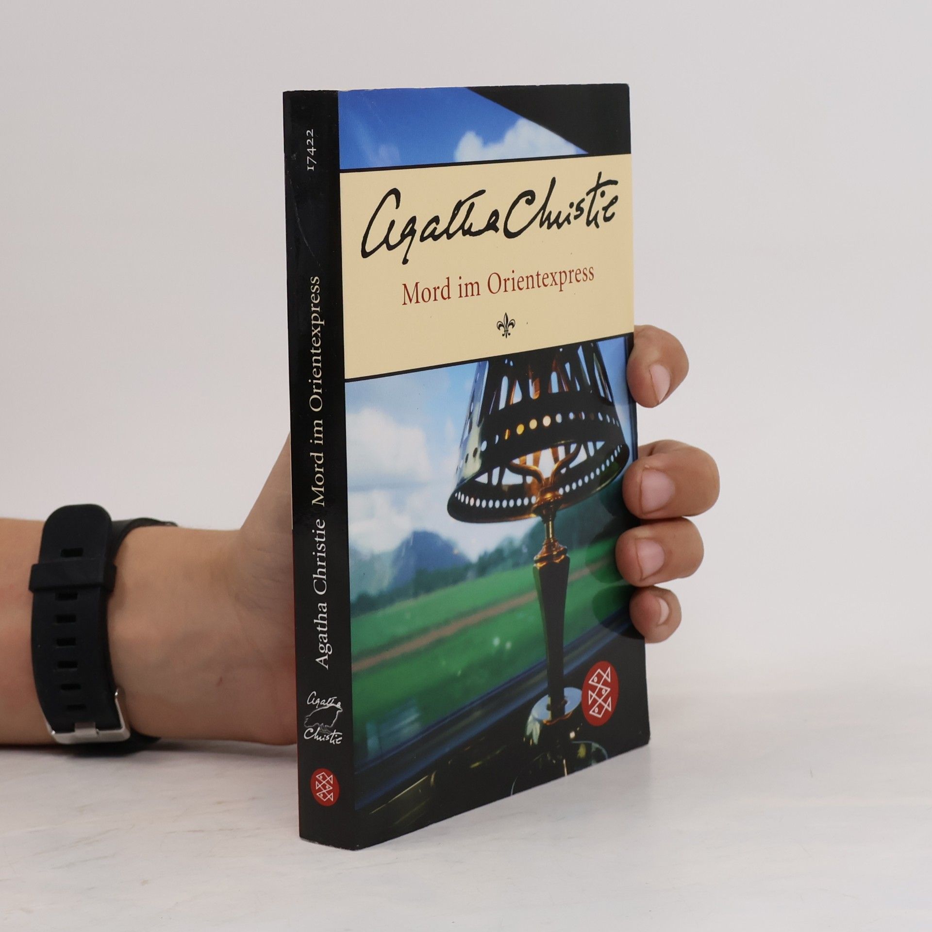Agatha Christie Mord im Orientexpress
