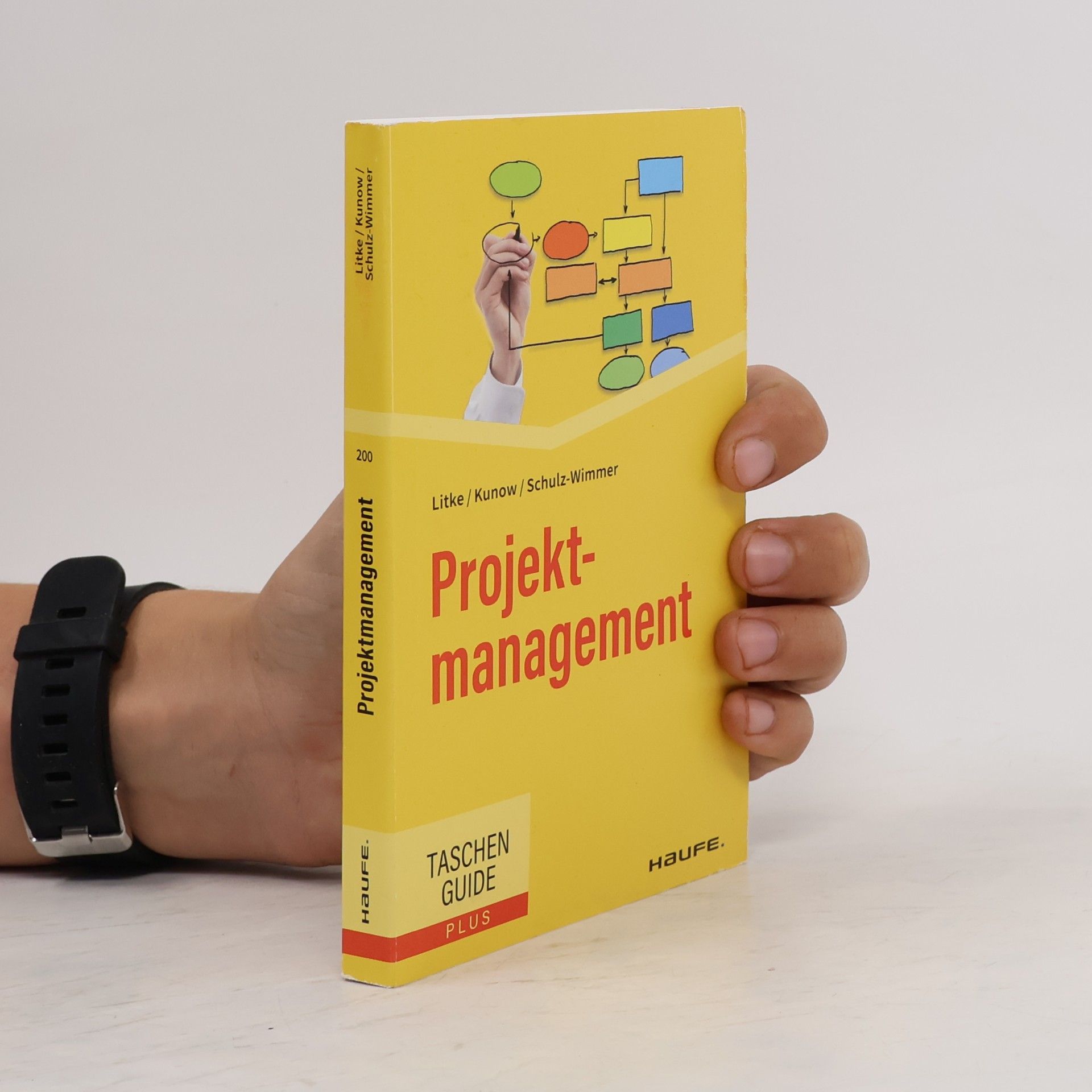 Hans-Dieter Litke Projektmanagement