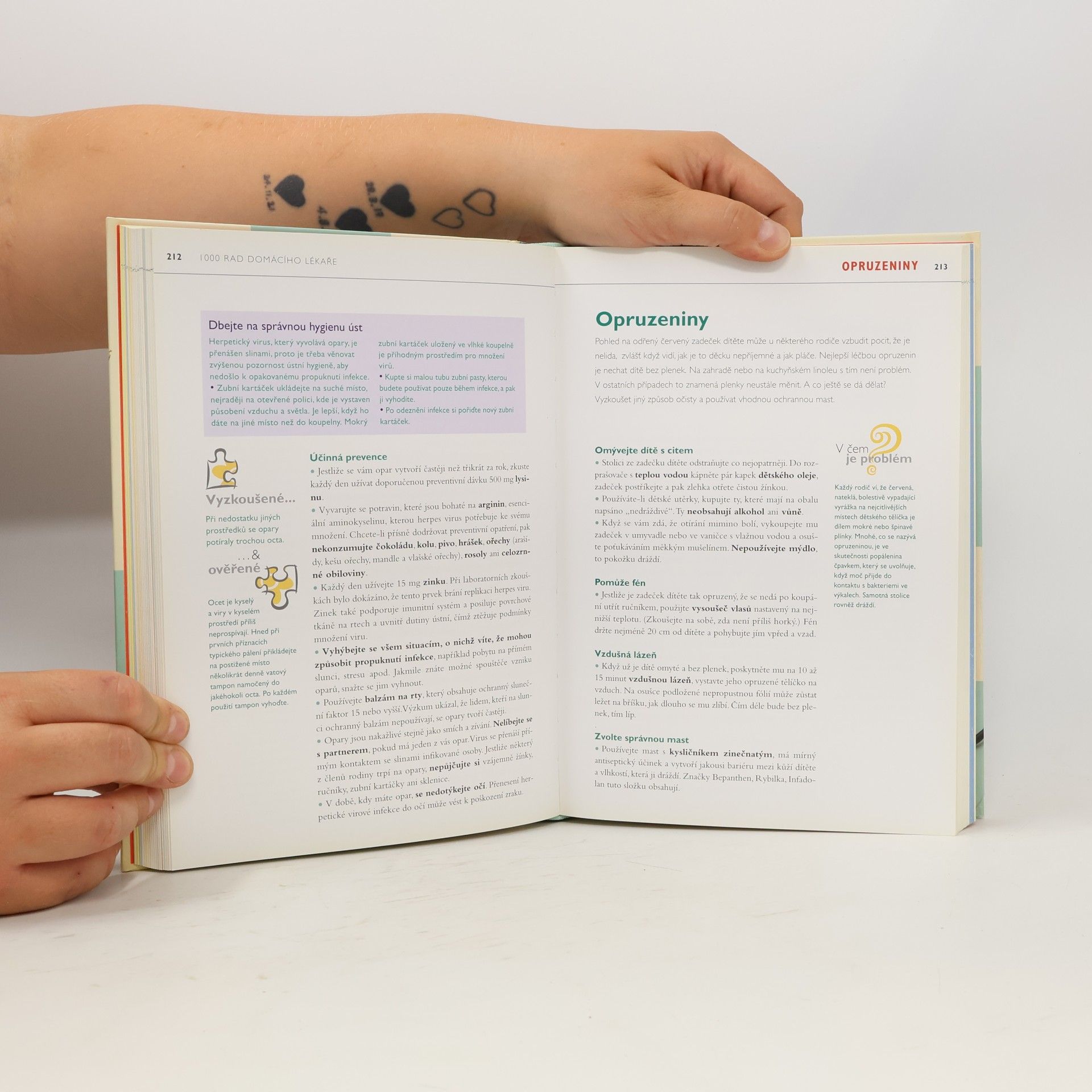 Autorenkollektiv 1000 rad domácího lékaře. Ověřené způsoby léčení běžných zdravotních obtíží