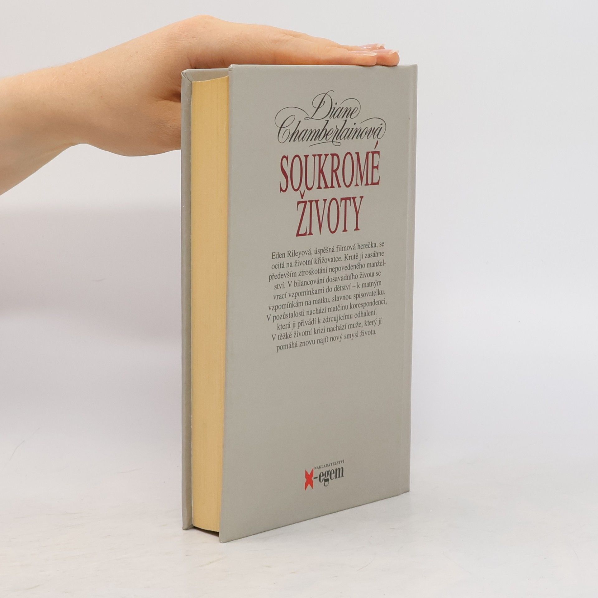 Diane Chamberlain Soukromé životy