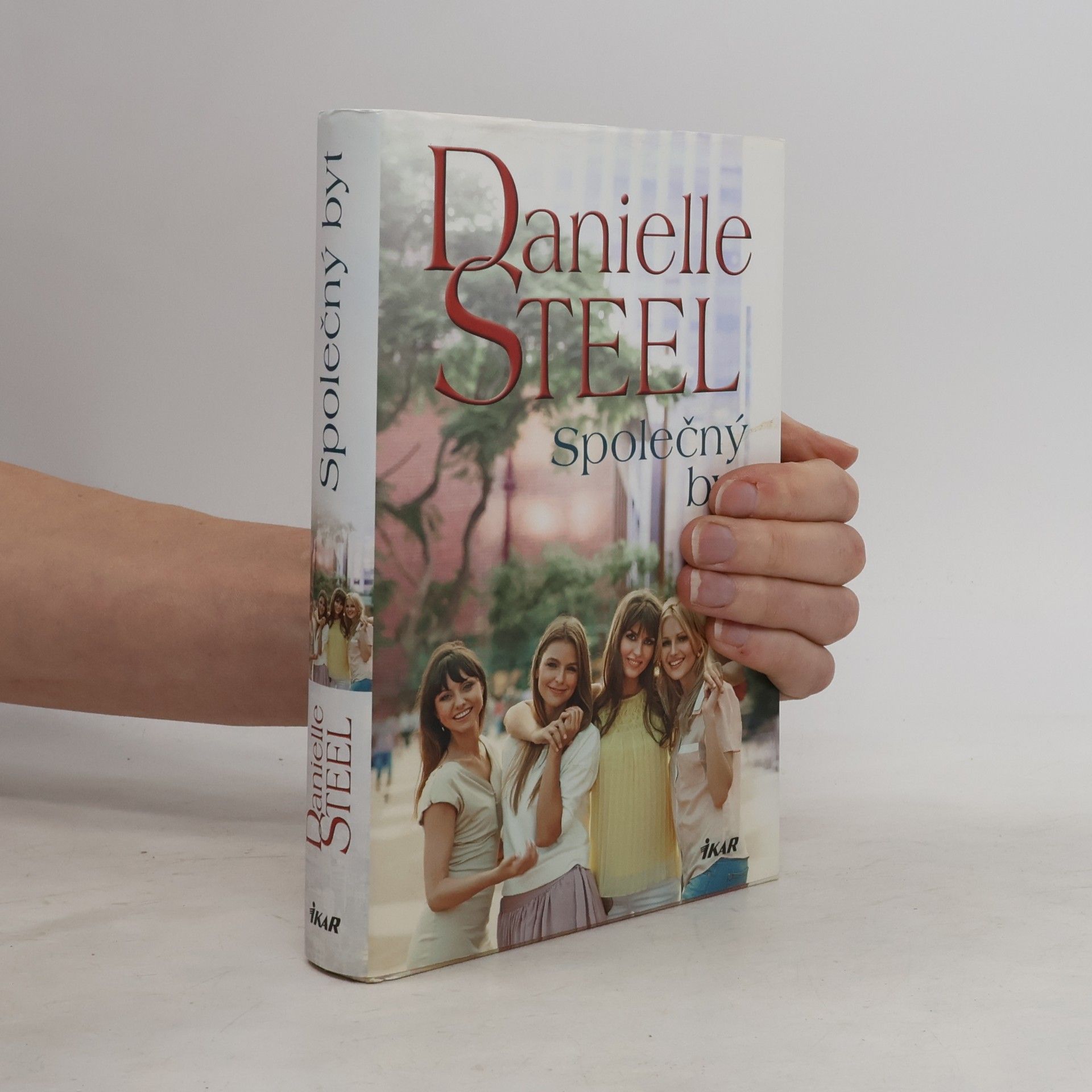 Danielle Steel Společný byt