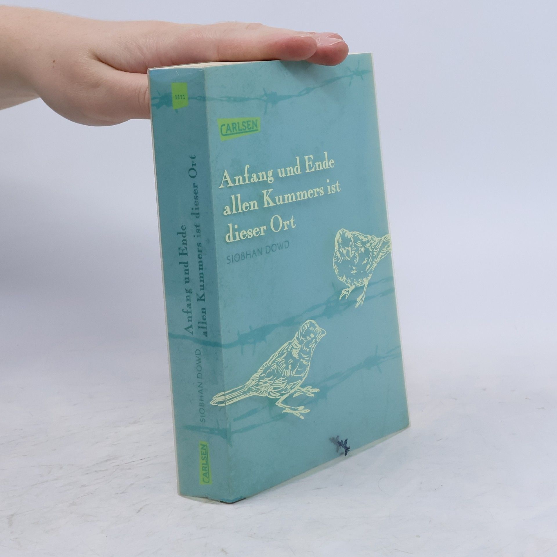 Siobhan Dowd Anfang und Ende allen Kummers ist dieser Ort