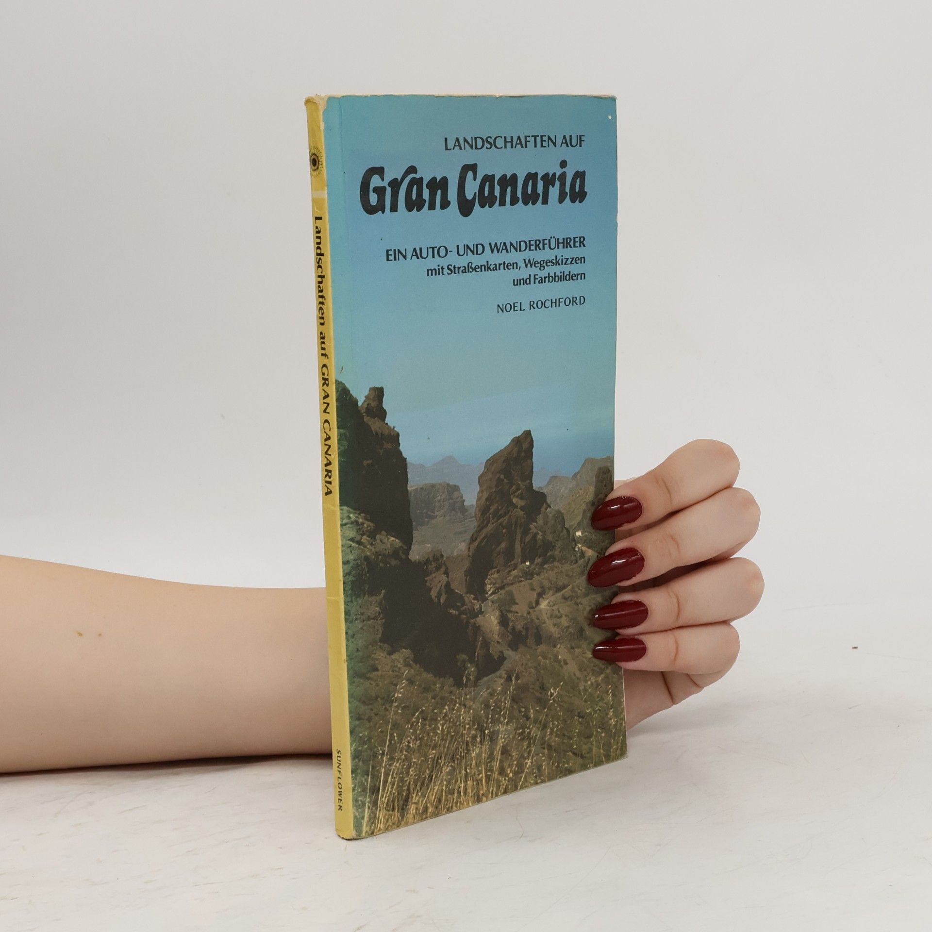 Noel Rochford Landschaften auf Gran Canaria