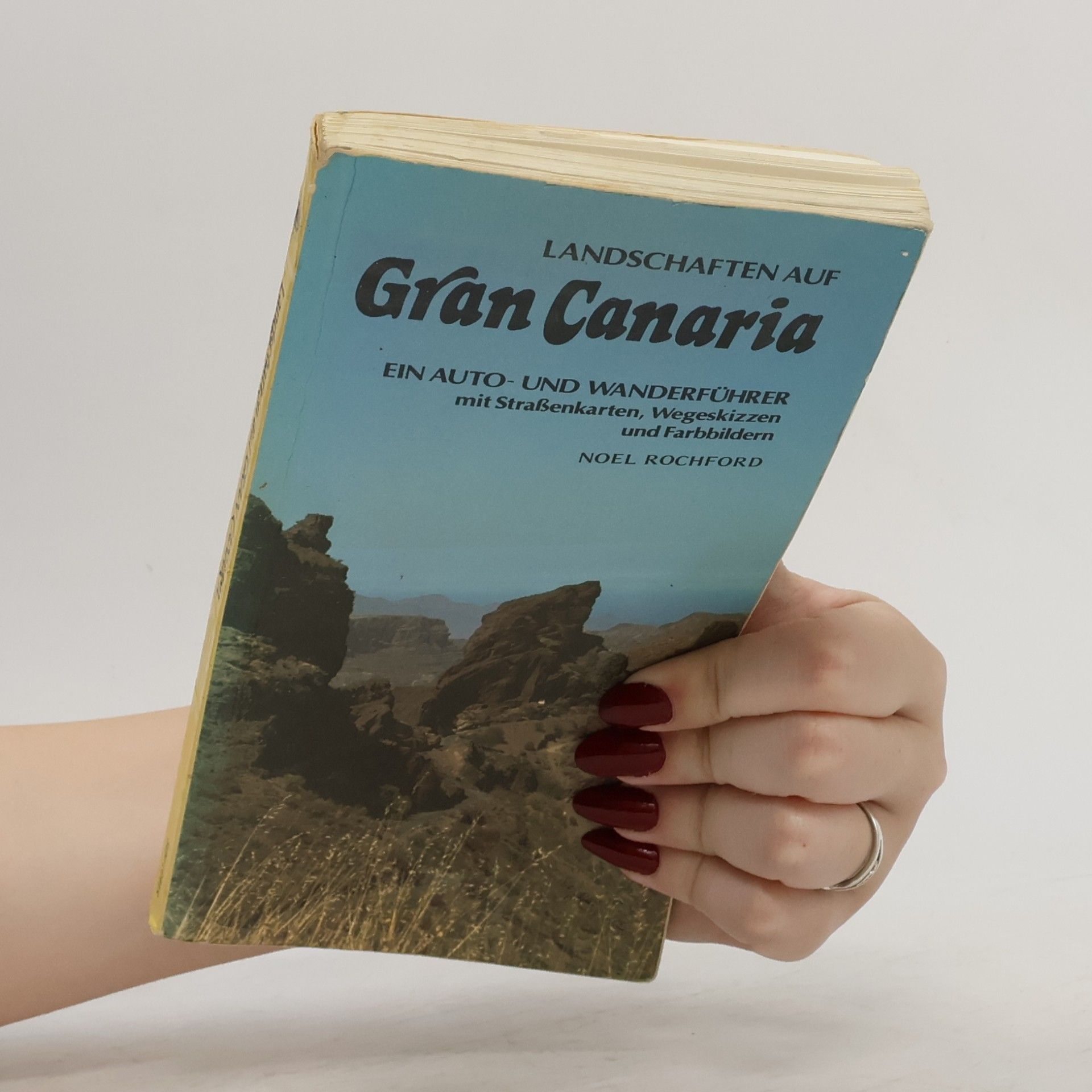 Noel Rochford Landschaften auf Gran Canaria