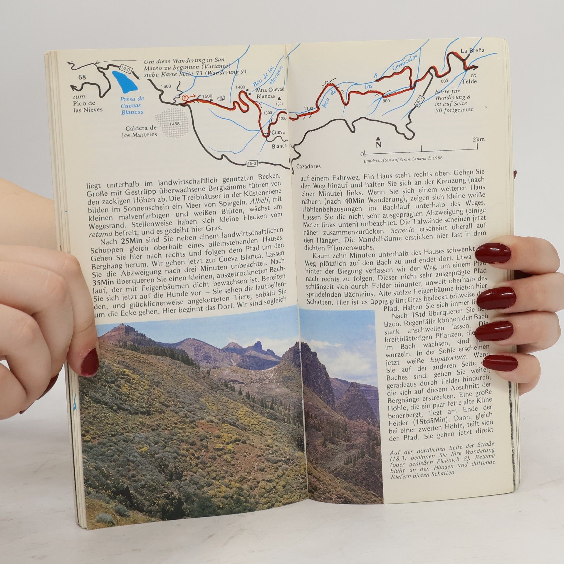 Noel Rochford Landschaften auf Gran Canaria