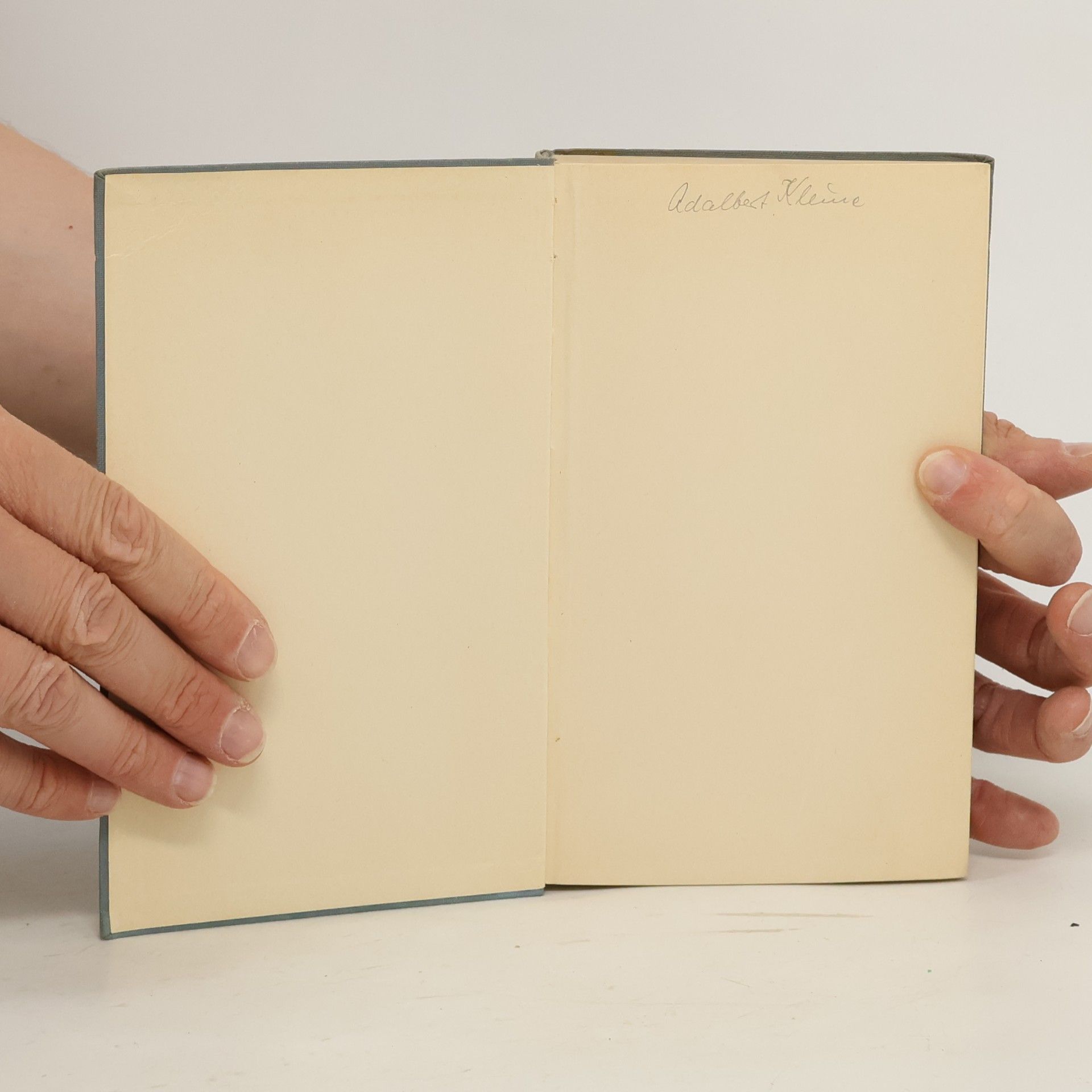 José Ortega y Gasset Über die Liebe