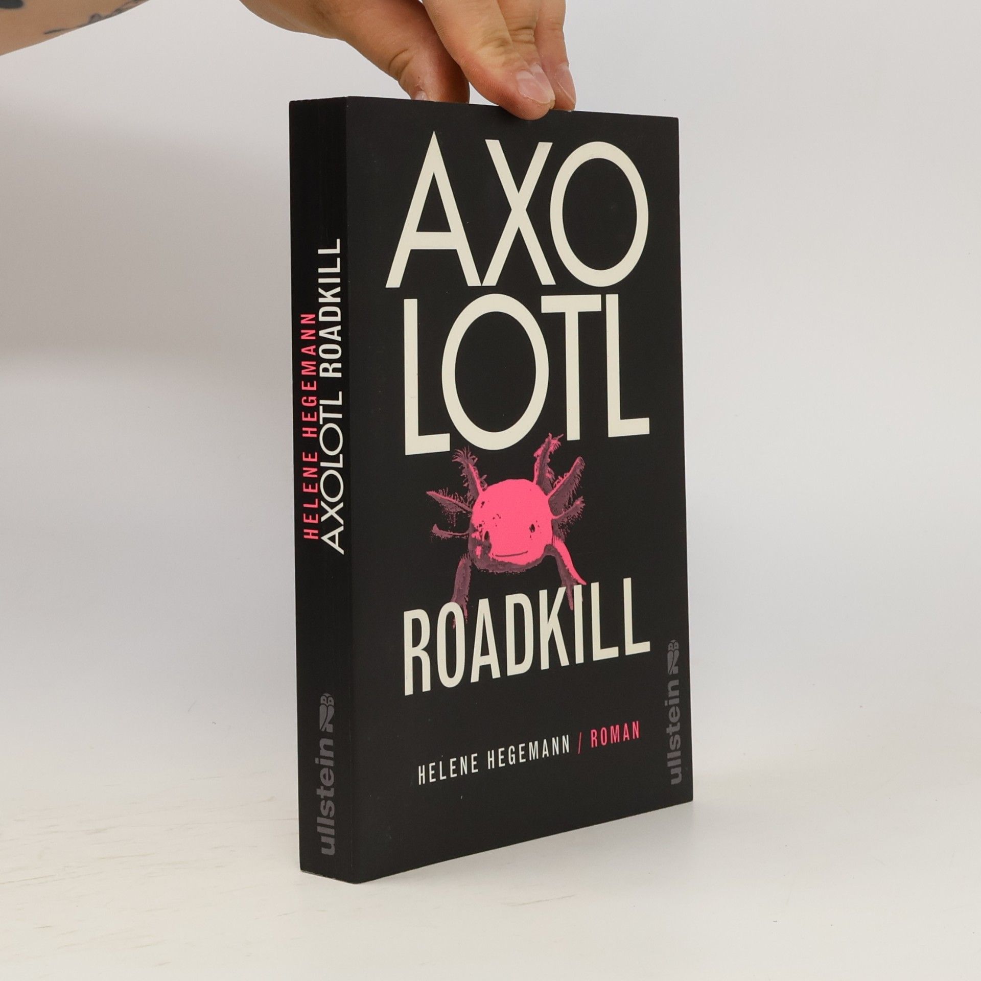 Helene Hegemann Axolotl Roadkill : Roman