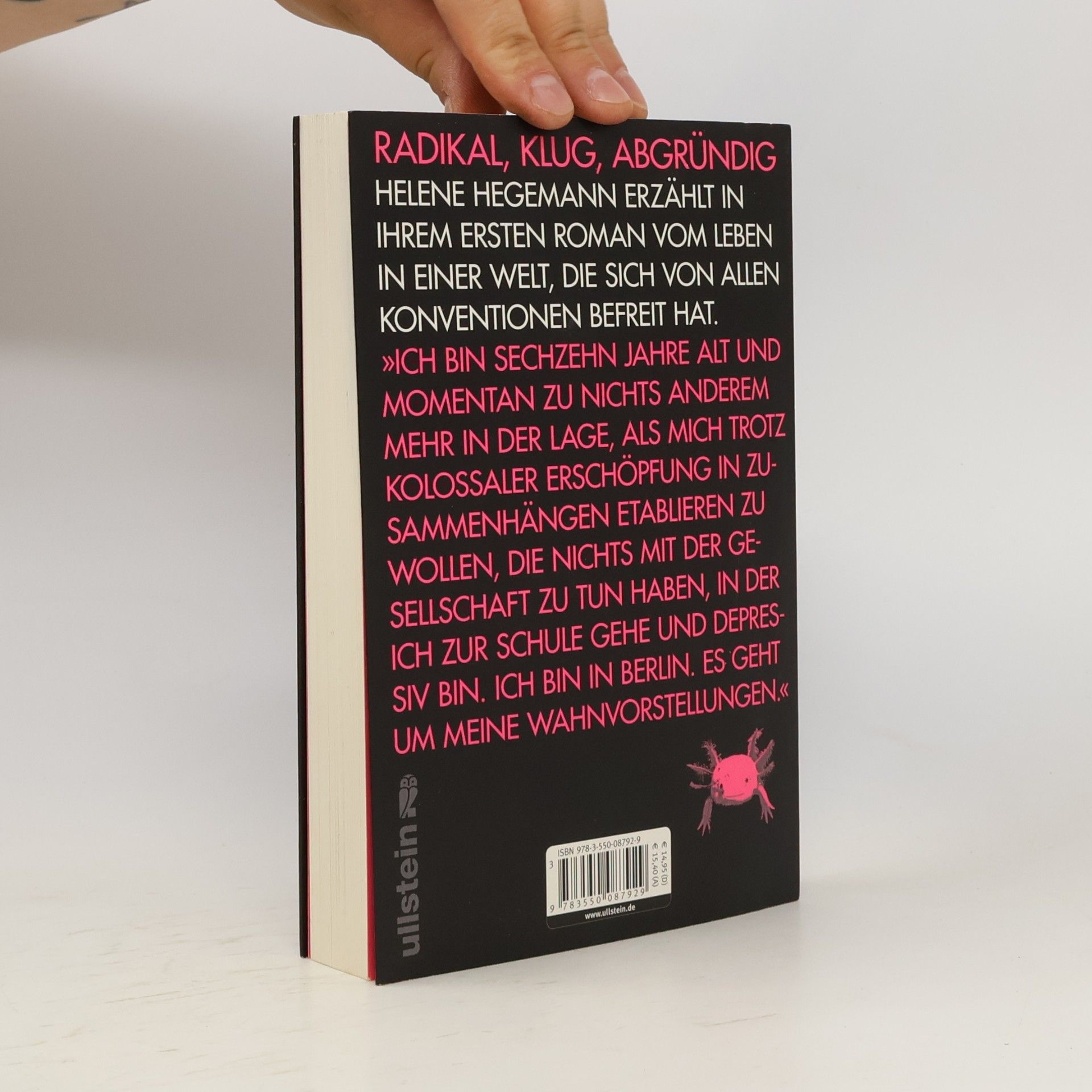 Helene Hegemann Axolotl Roadkill : Roman
