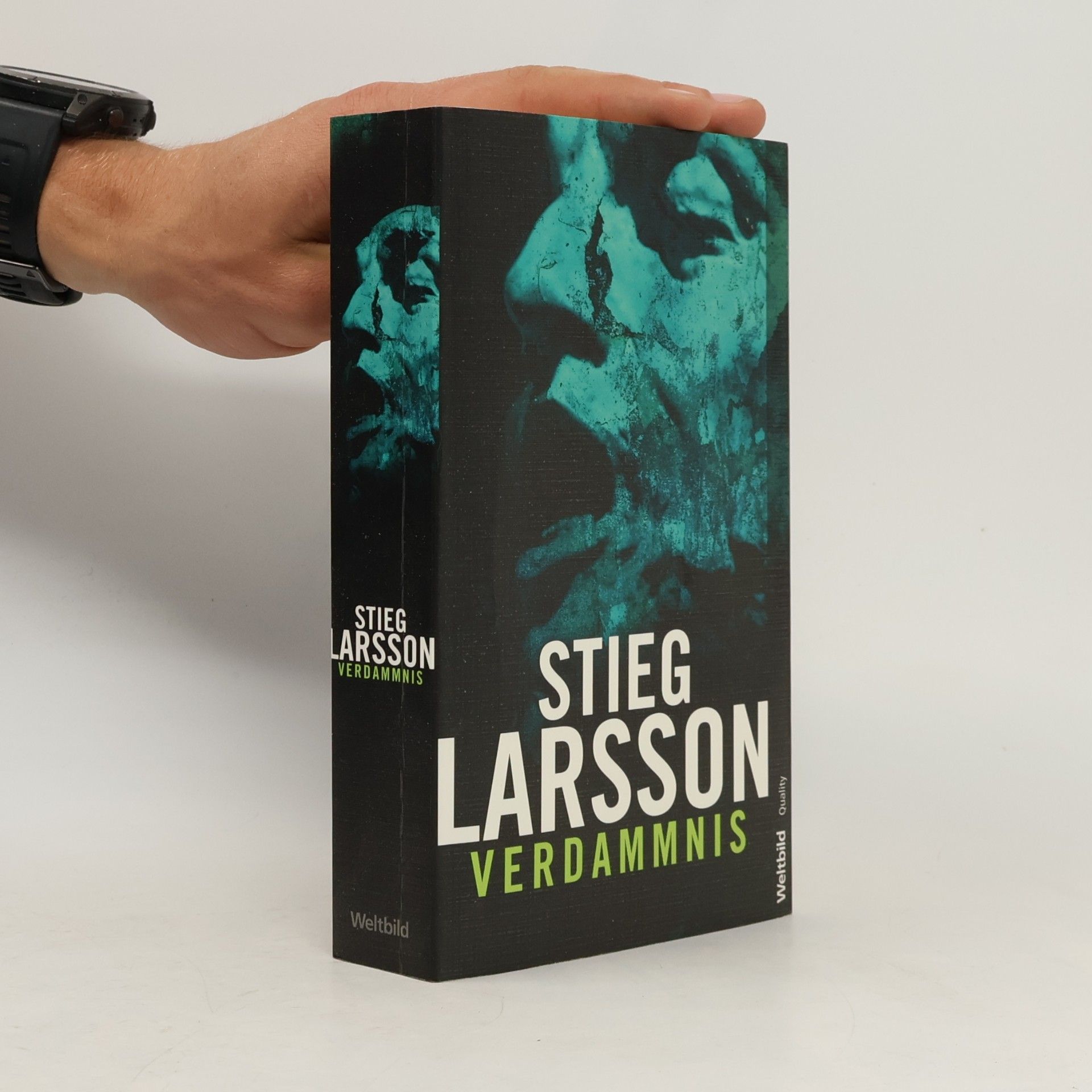 Stieg Larsson Verdammnis