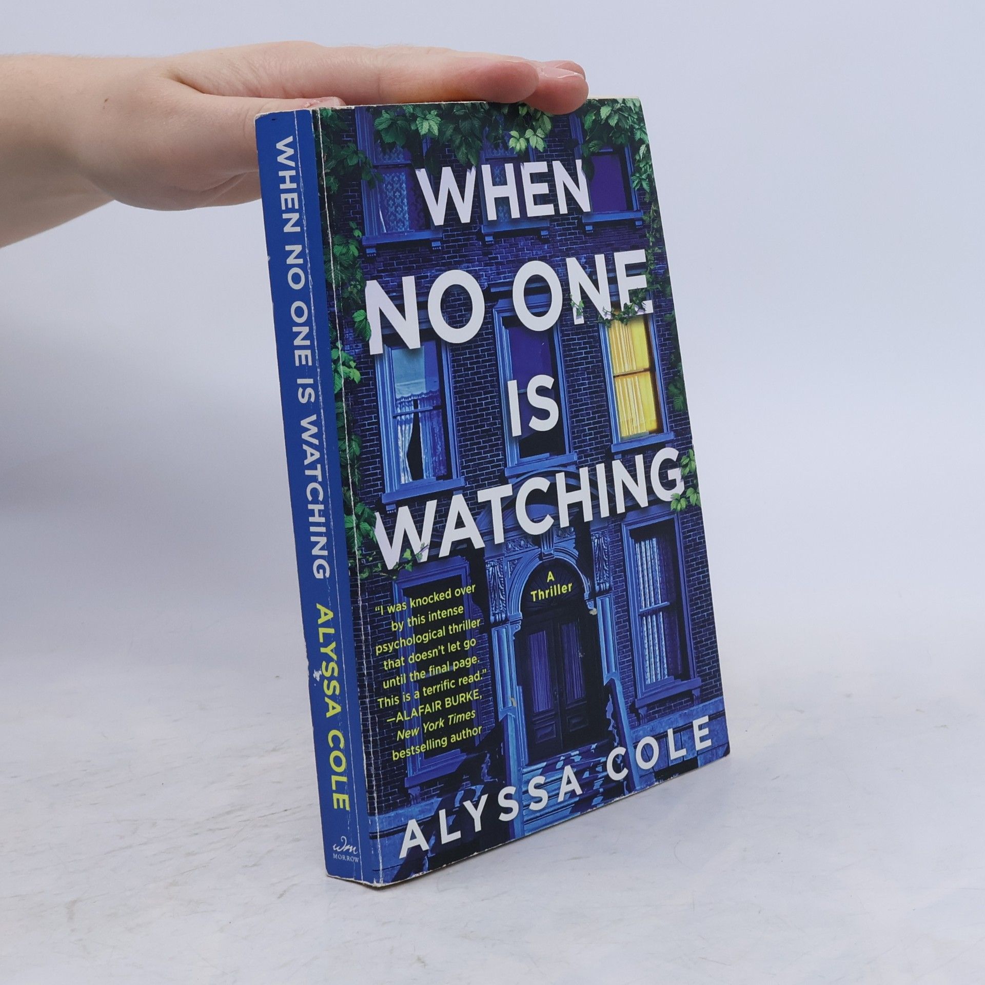Alyssa Cole When No One Is Watching