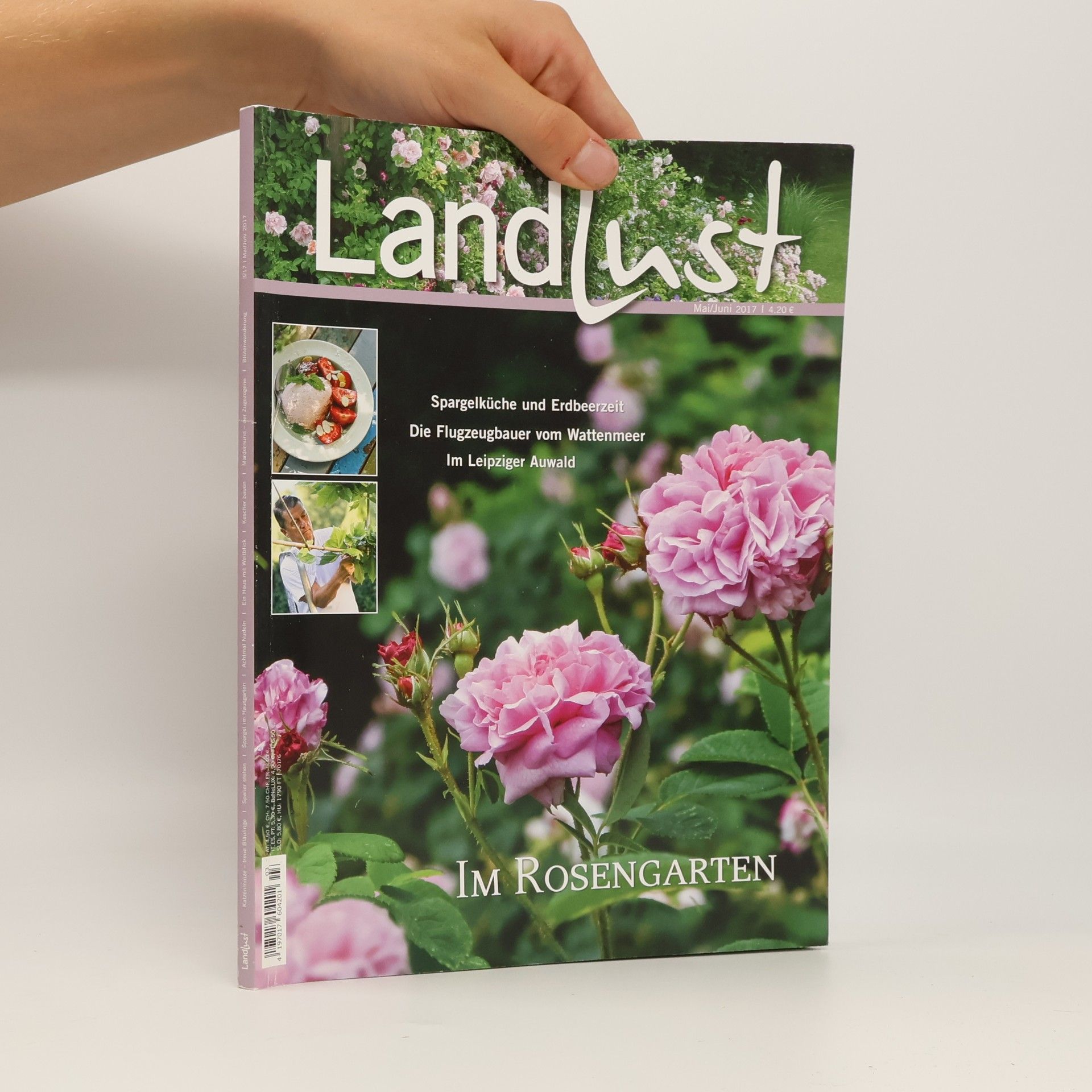 kolektiv Landlust 3/17