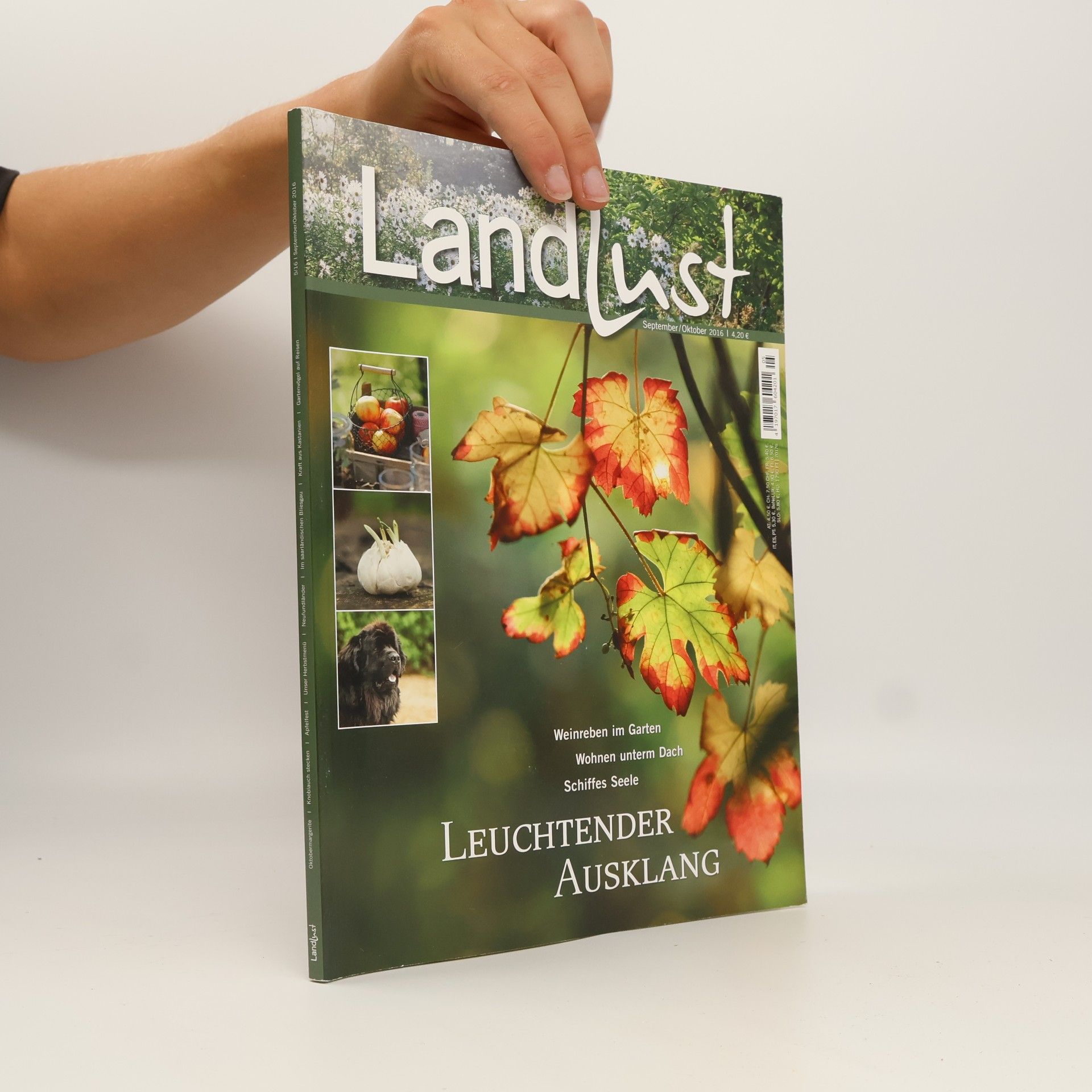 kolektiv Landlust 5/16