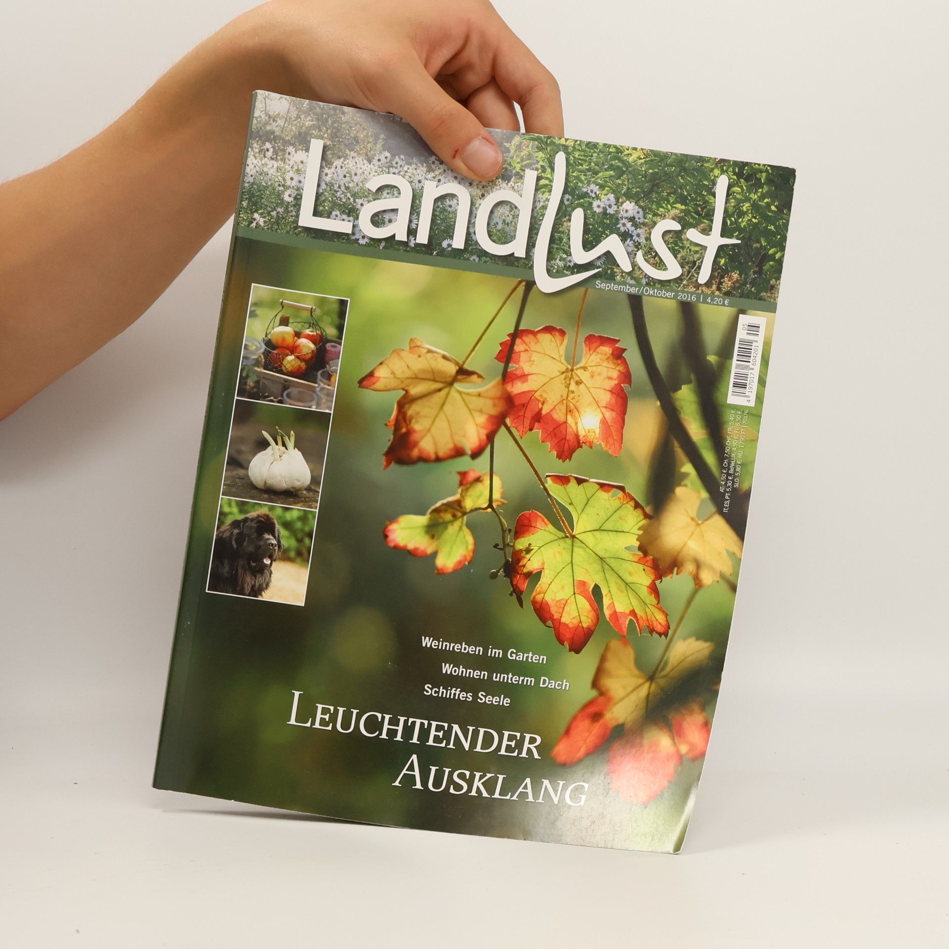 kolektiv Landlust 5/16