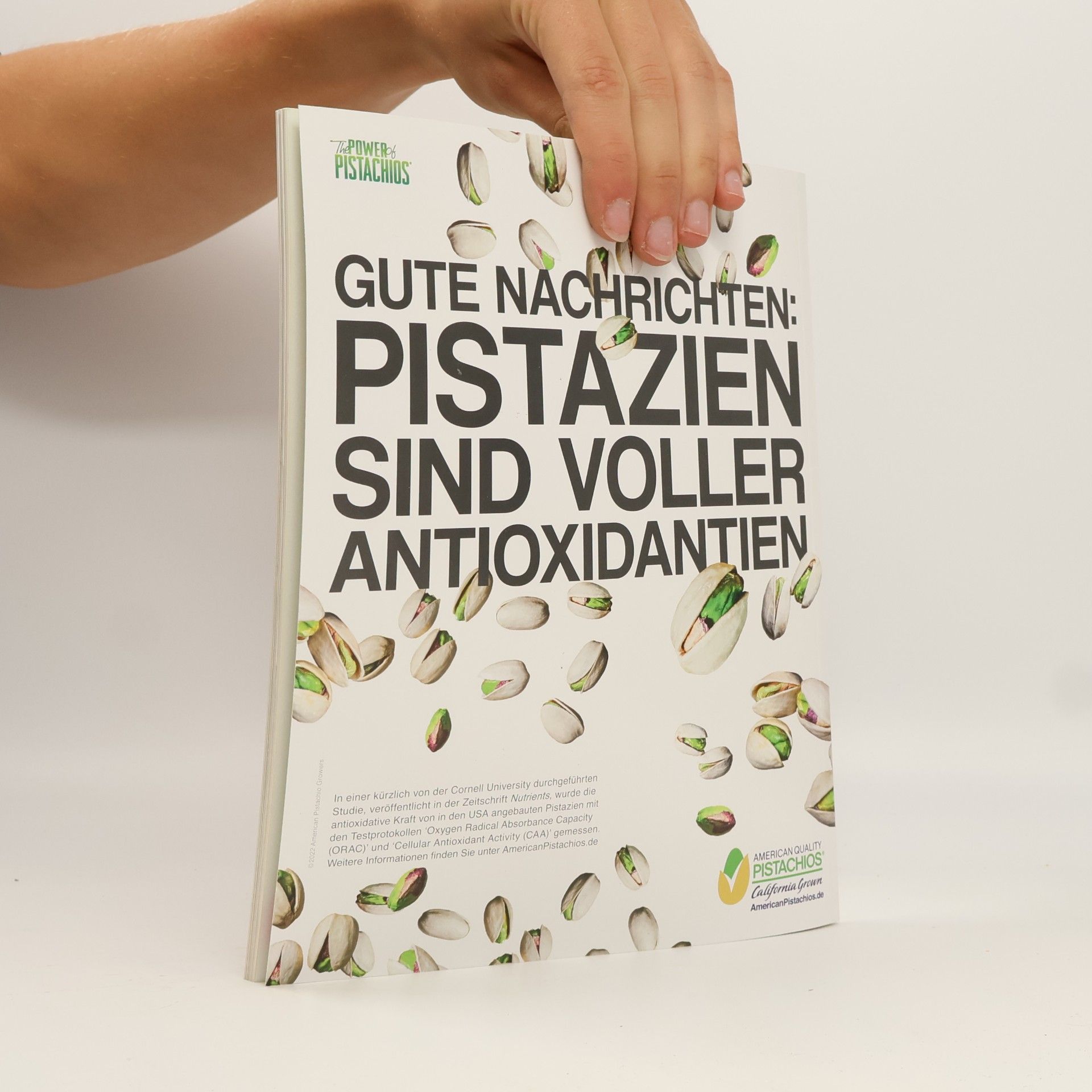 kolektiv Landlust Sommer Küche