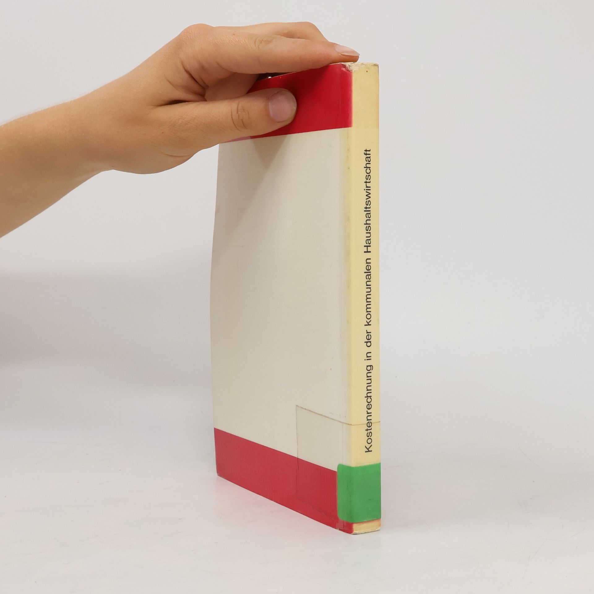 Karl Giesen Neue Kommunale Schriften: Kostenrechnung in der kommunalen Haushaltswirtschaft