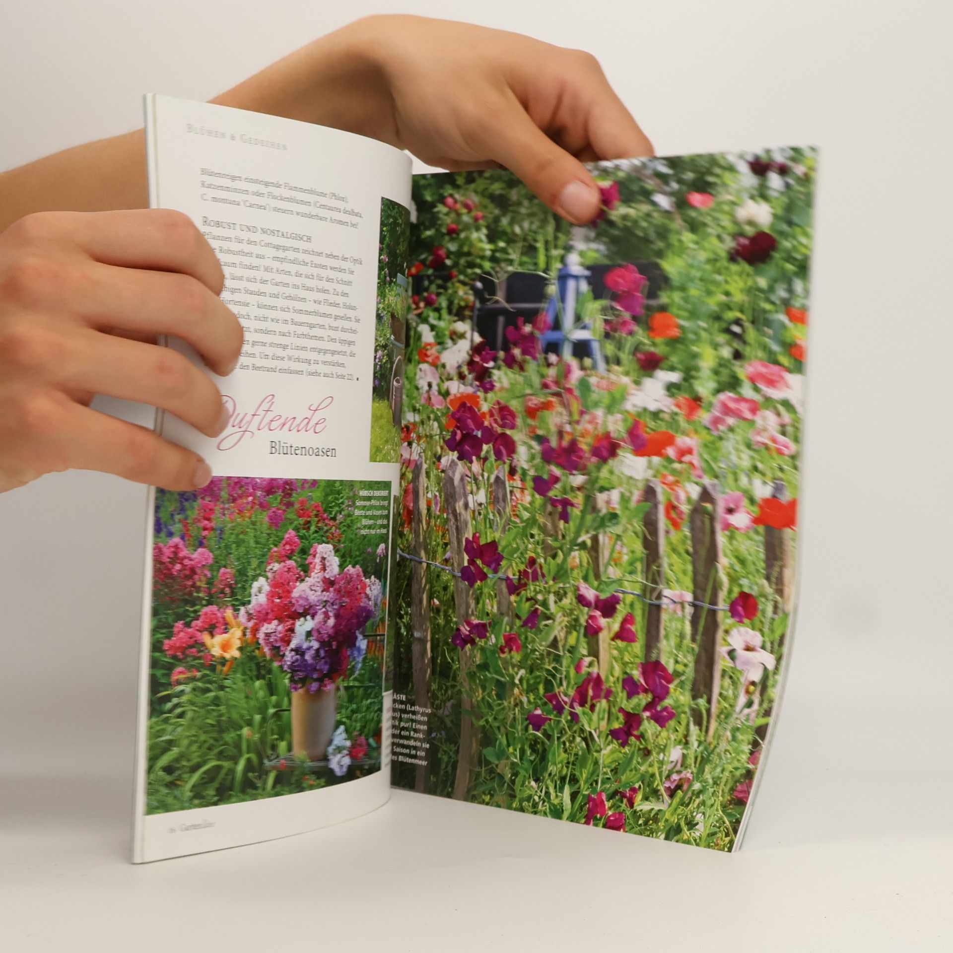Autorenkollektiv GartenIdee 3/2018