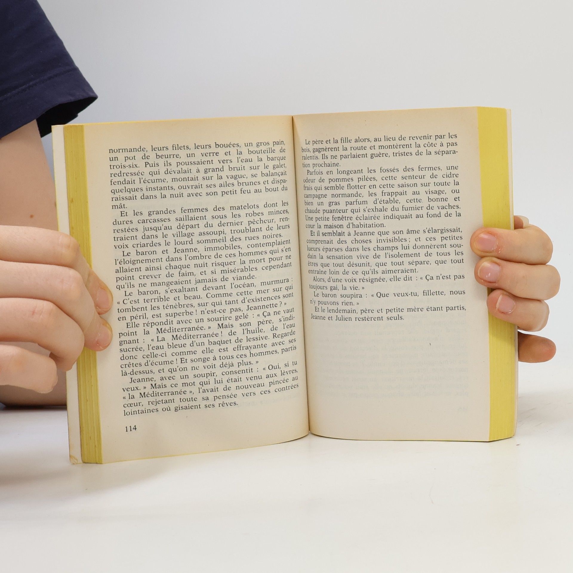 Guy de Maupassant Una vie