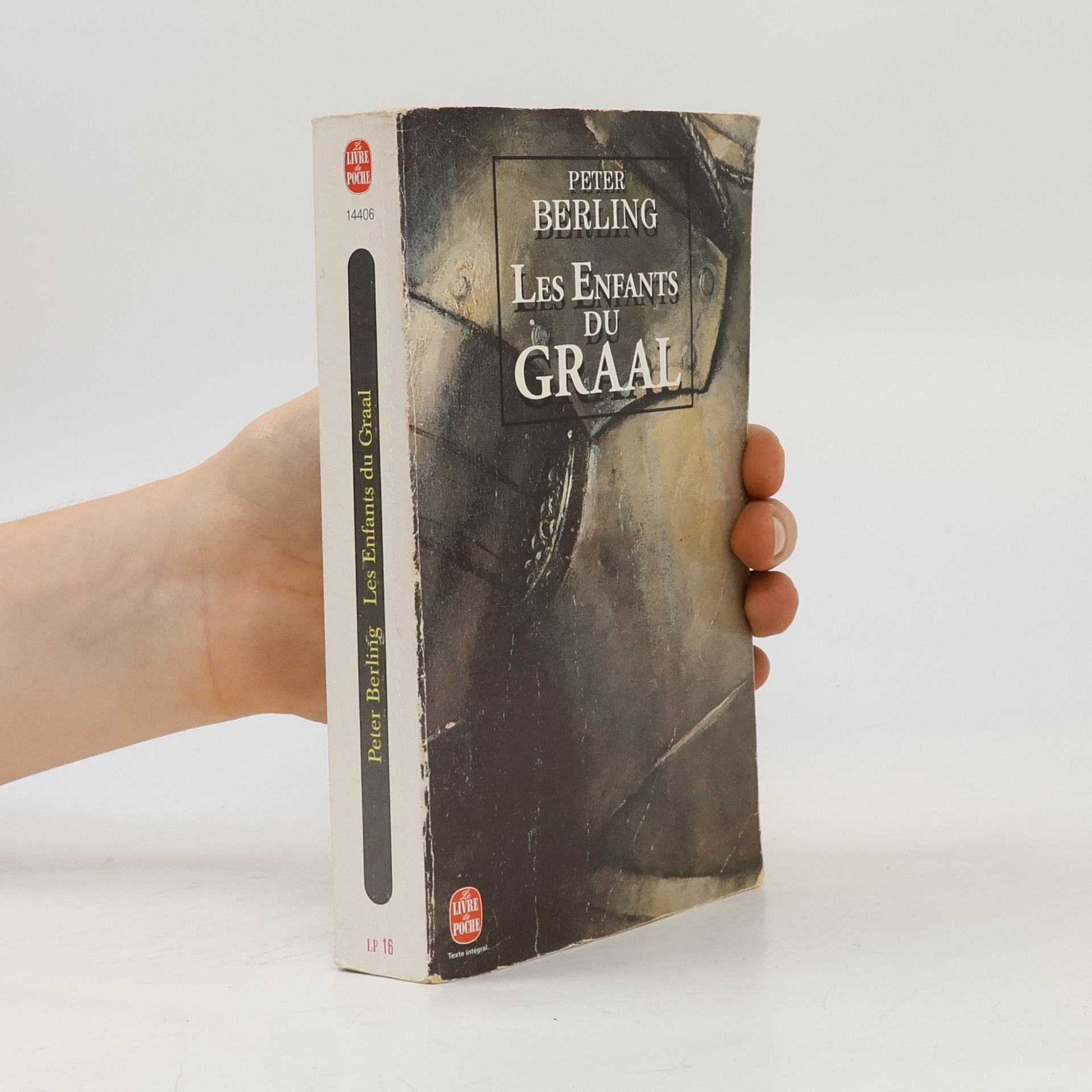 Petr Berling Les Enfants du Graal