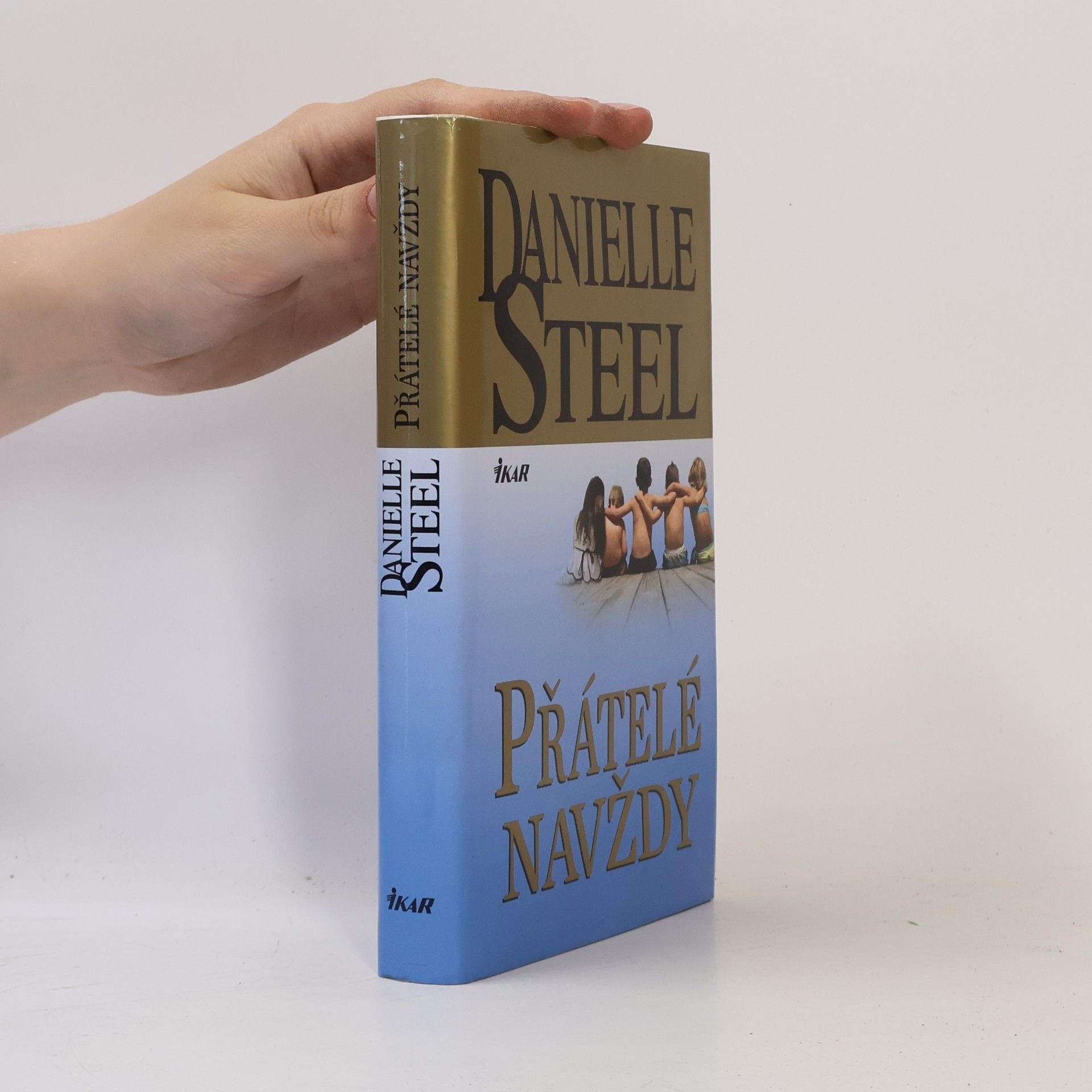 Danielle Steel Přátelé navždy