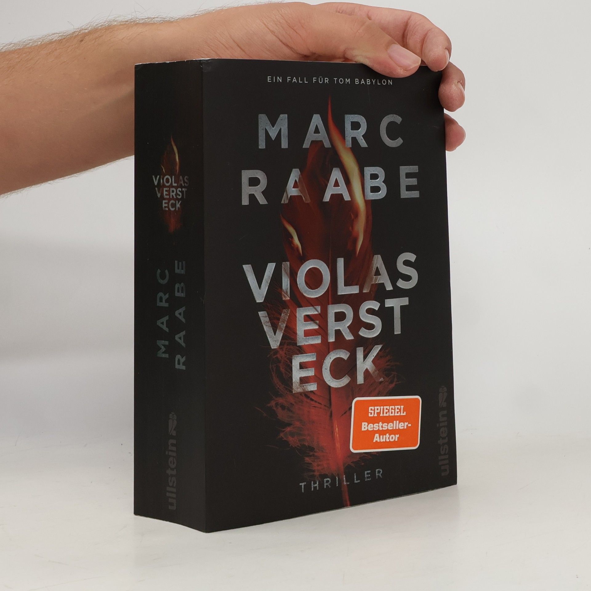 Marc Raabe Violas Versteck