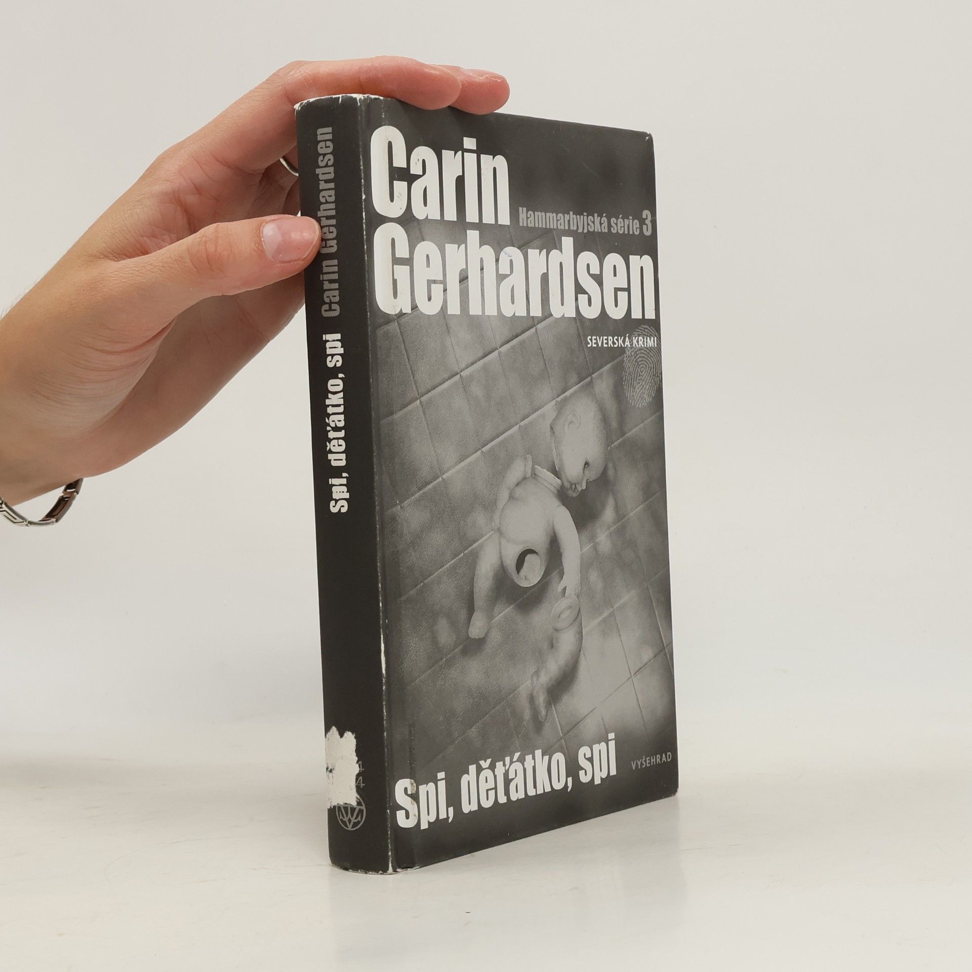 Carin Gerhardsen Spi, děťátko, spi. Hammarbyjská série. 3. díl