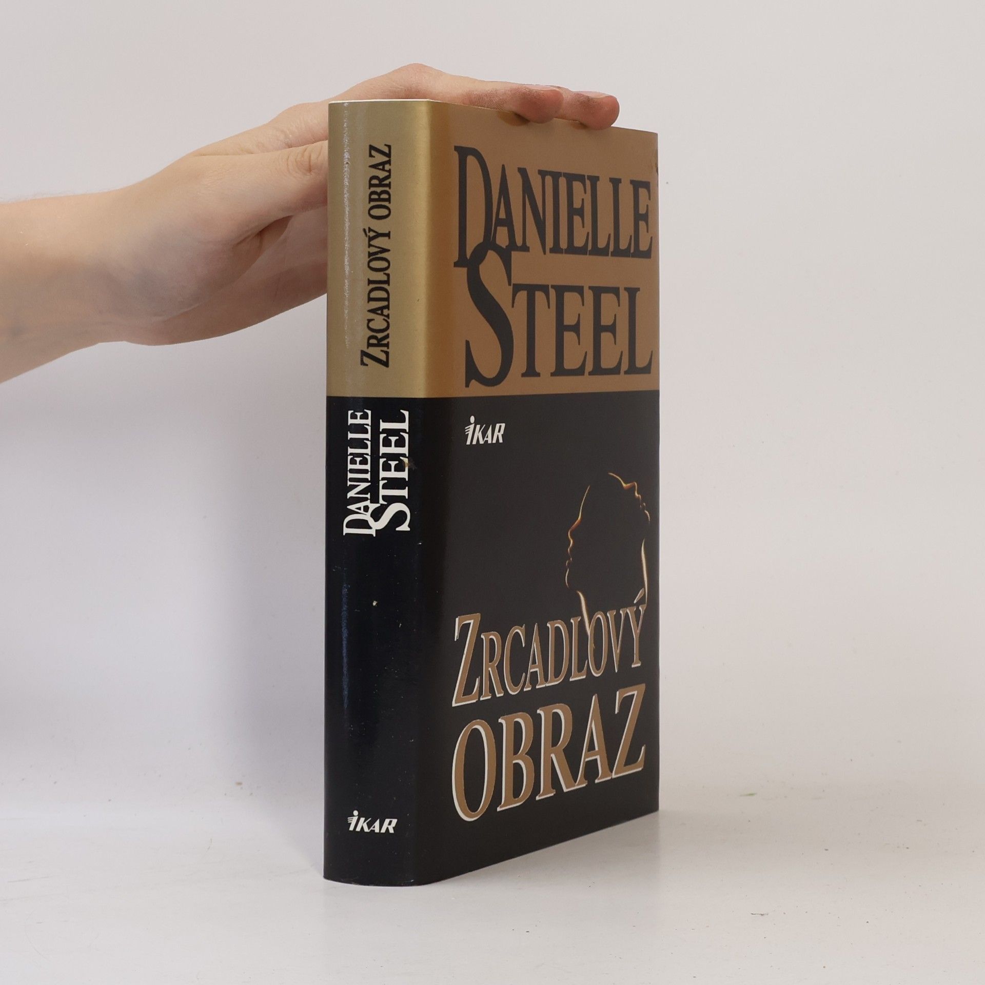 Danielle Steel Zrcadlový obraz